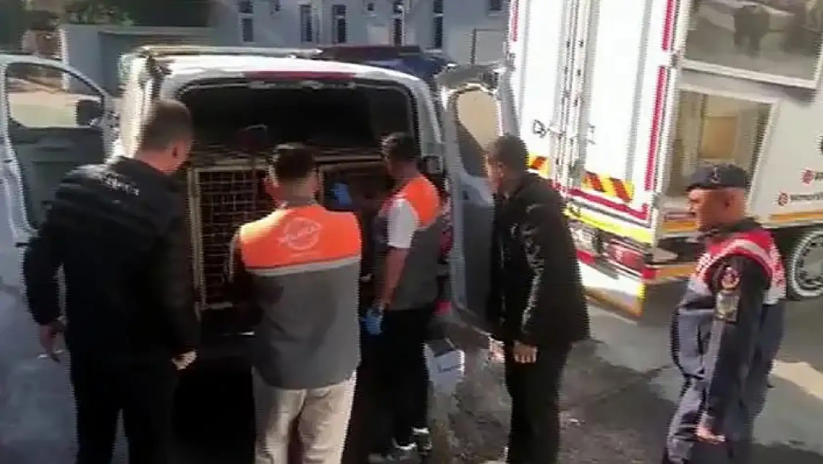 Kayseri'den kısa kısa: Trafik kazası, Köpek dövüşü, Rasim Arı, İstifa, ERÜ…