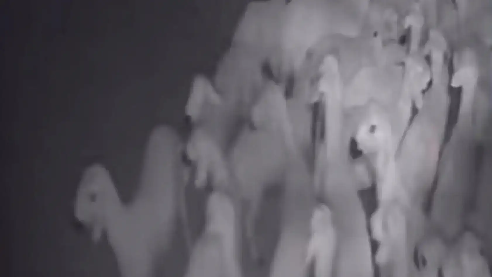 Kayseri'den kısa kısa: FETÖ, Baki Ersoy, TOKİ Konut, Yeni Okul, Kayserispor…