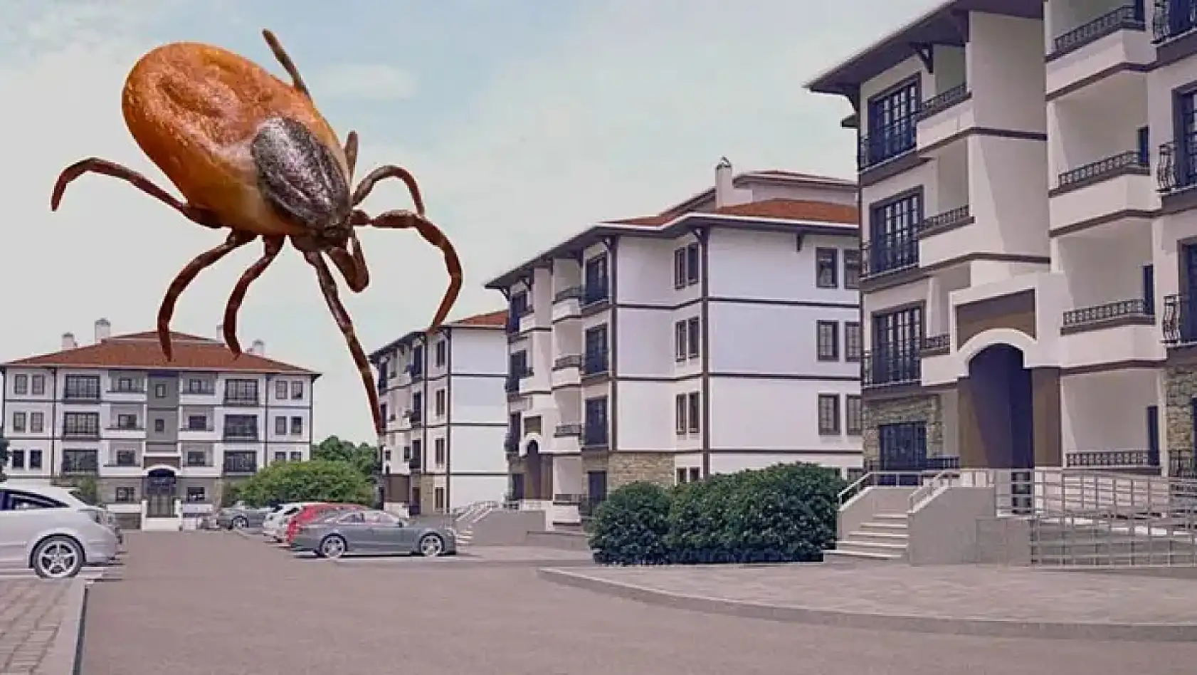 Kayseri'den kısa kısa haberler (26 Haziran) - MasterChef, Hüma Hastanesi, Yangın, Kene, Mazakaland, Kayserispor...