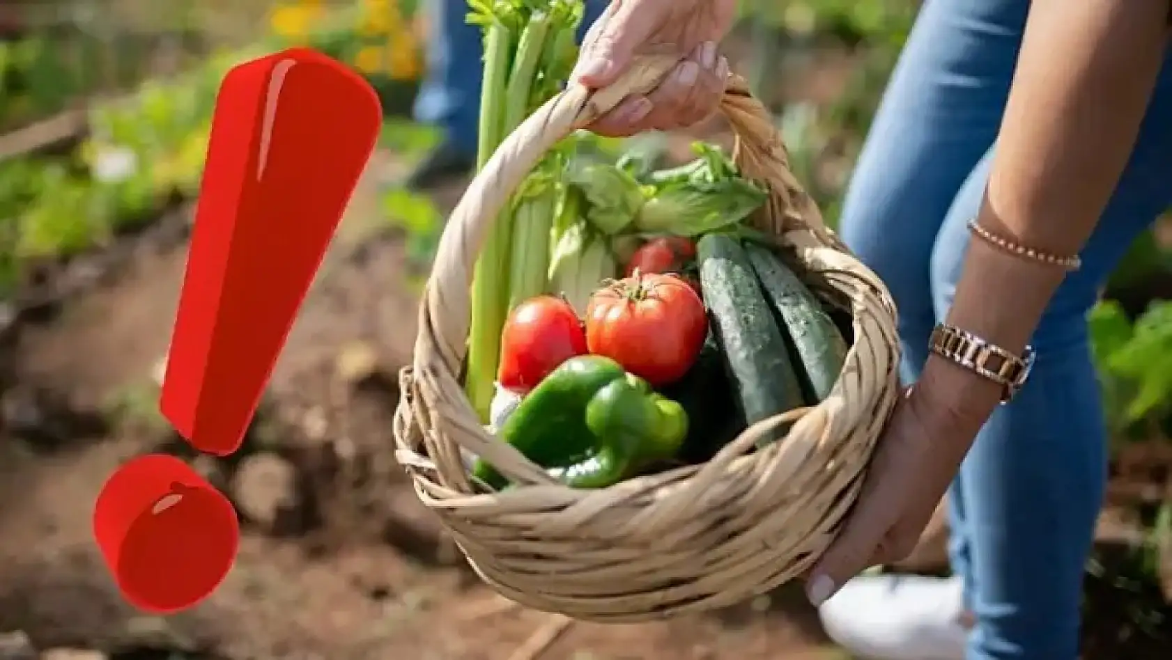 Hayvan pazarları, Okul, Yataş, Kayserispor... - İşte Kayseri'den kısa kısa haberler