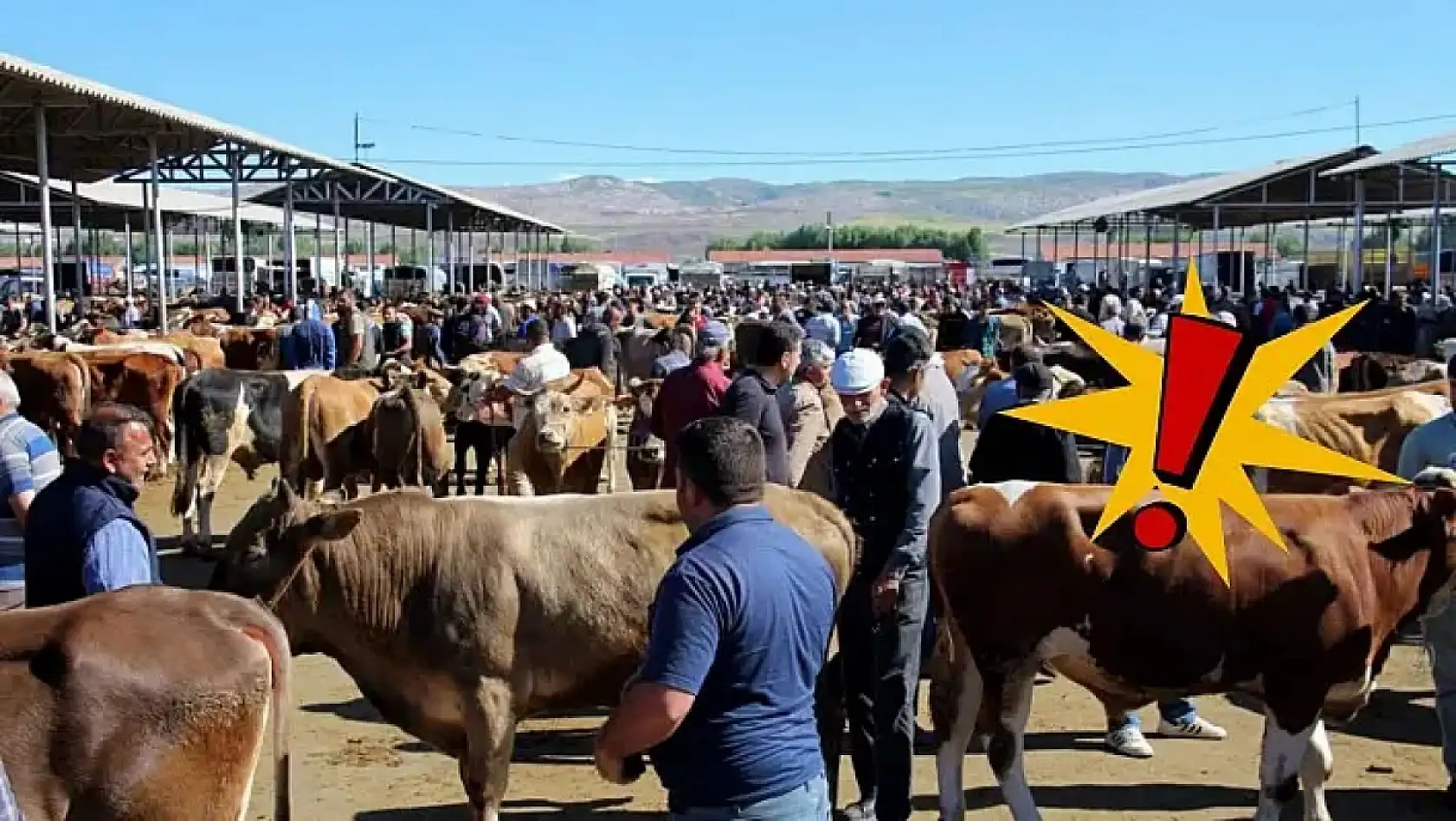 Hayvan pazarları, Okul, Yataş, Kayserispor... - İşte Kayseri'den kısa kısa haberler