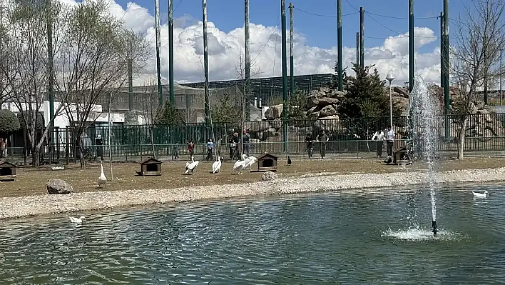 Kayseri'den kısa kısa - Trafik kazası, Hayvanat bahçesi, Bayramlaşma, Denetim, Erciyes...