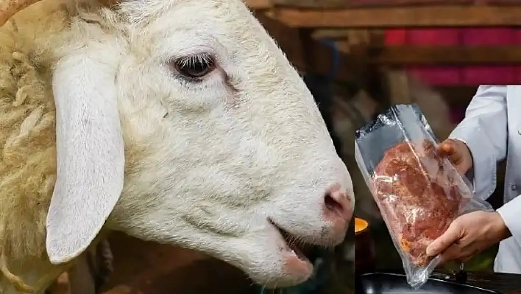 Kayseri'den kısa kısa - Yangın, YHT, Destek, Kurban Bayramı, Kayserispor... (26 Mayıs)