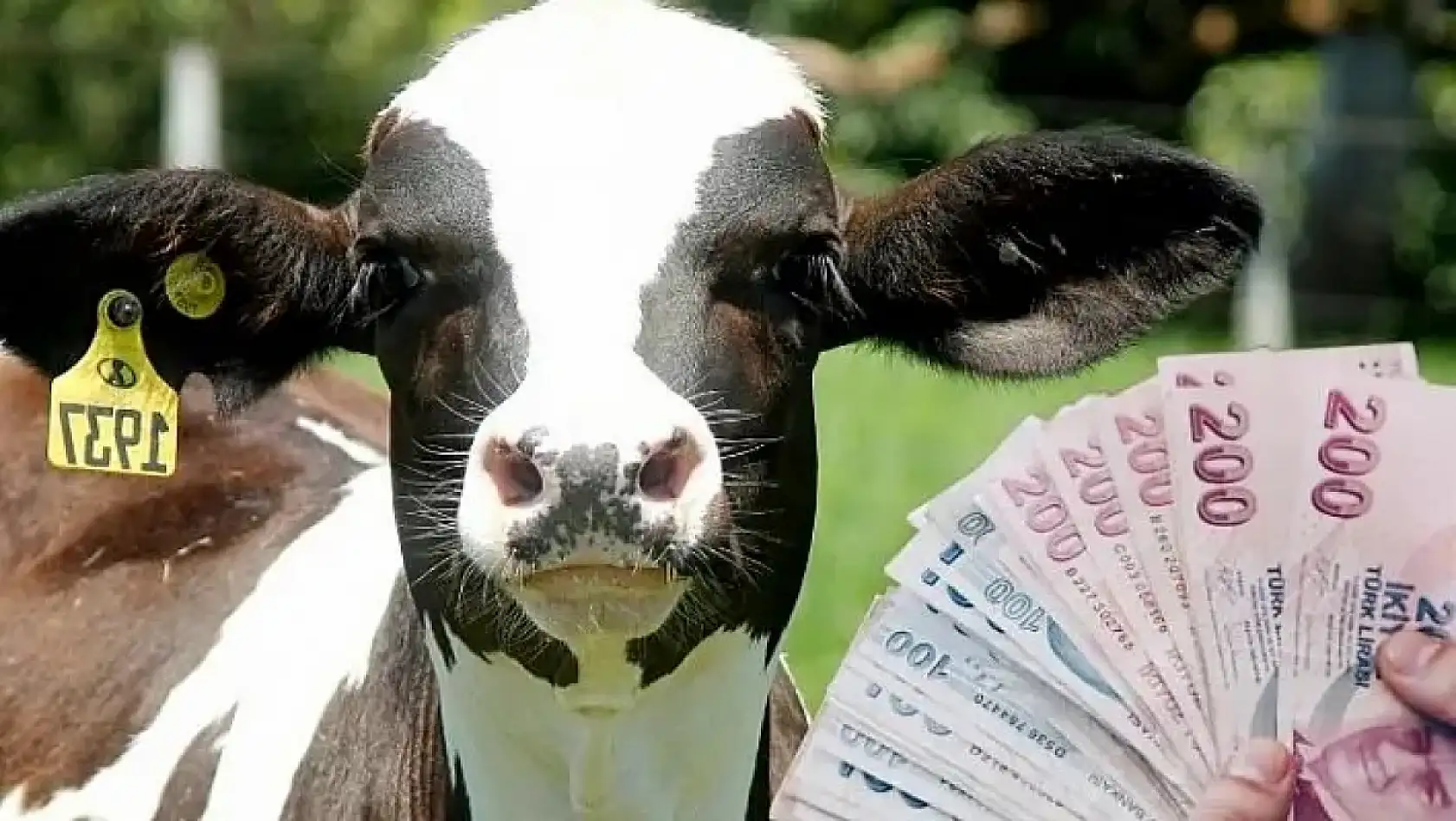 Kayseri'de 16 Nisan Çarşamba gündemi - Yasak, Zirai don, Suriyeliler, Zam, Kurbanlıklar...