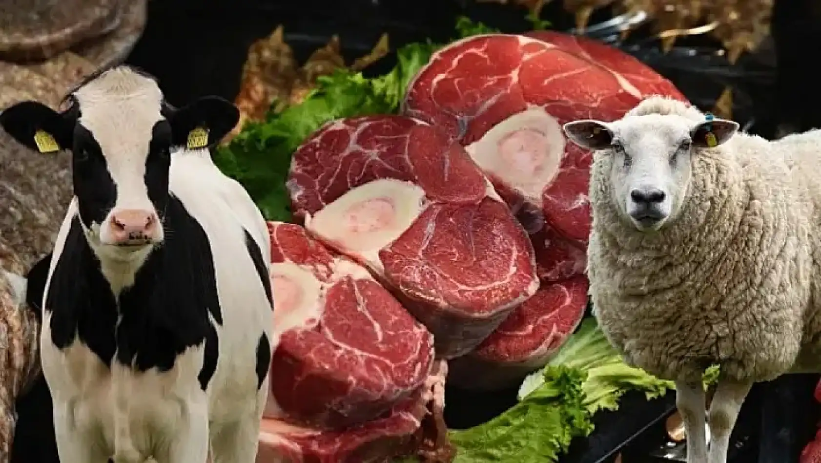 Kayseri kısa kısa: Denetim, Operasyon, Şenlik, Kano, Kayserispor....