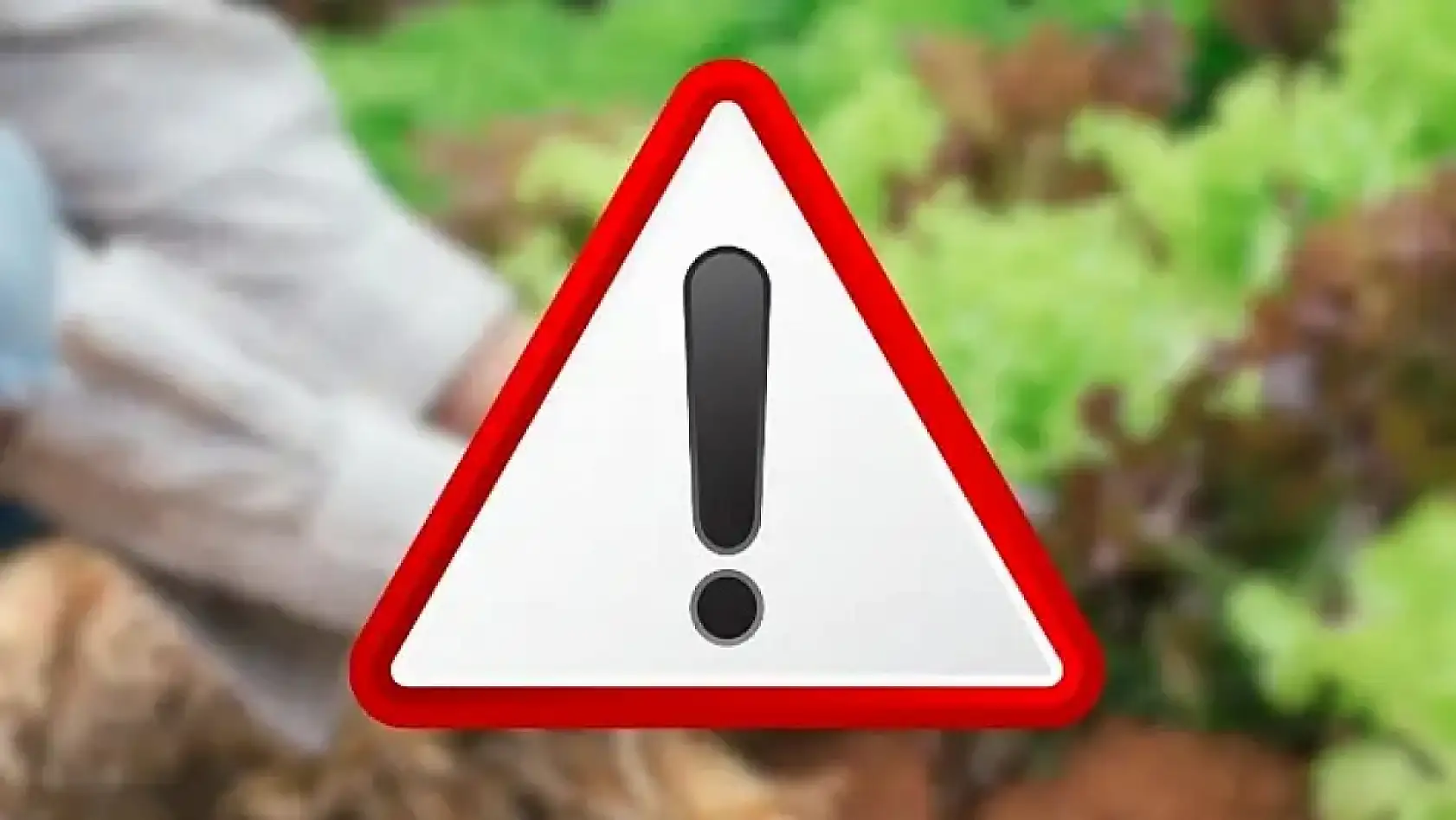 Kayseri'de sessiz pazar: Trafik kazası, Sayın Bayar Özsoy, Kültürel Yatırım, Endişeli Üretici, Kayserispor...