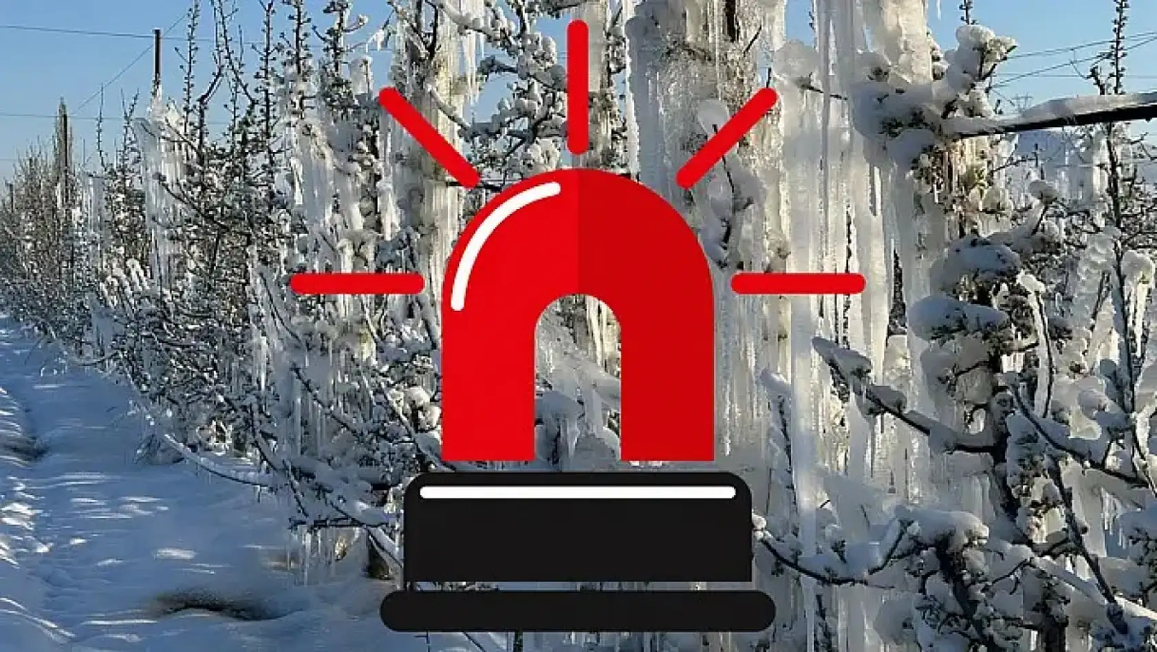 Kayseri'den kısa kısa (17 Nisan) - Başıboş köpekler, Anahtar Parti, Alarm, Aşevi, Kayserispor...