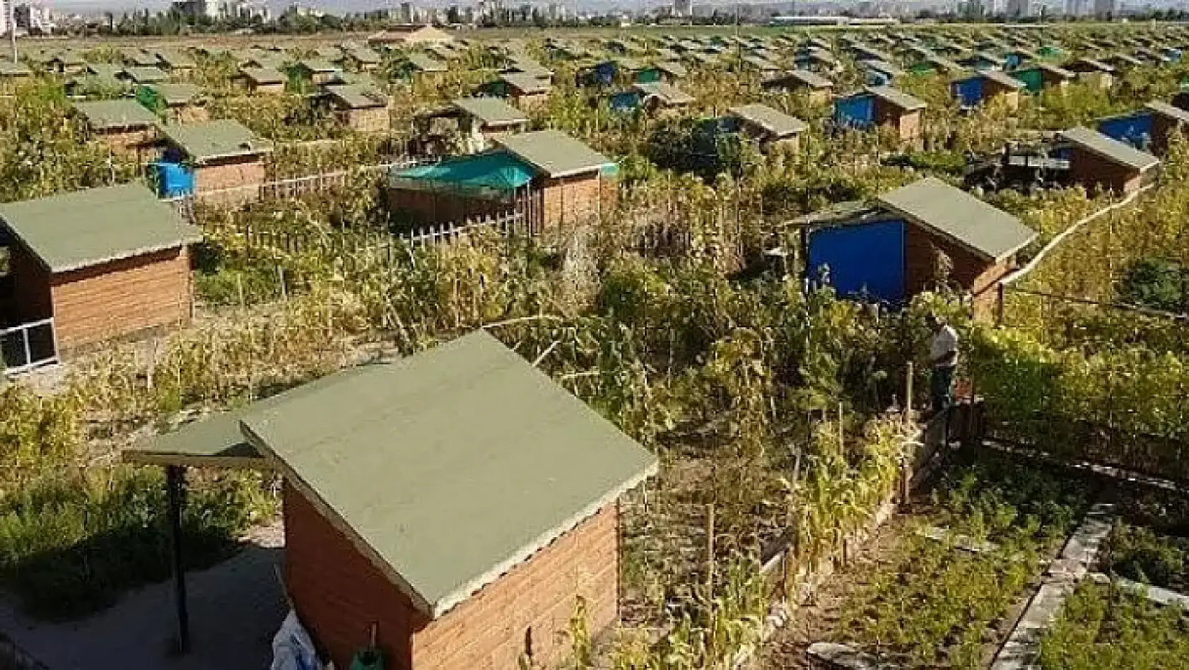 Kayseri'den Kısa Kısa: Operasyon, Hobi Bahçesi, Korkutan Rapor, Erciyes, Kayserispor…