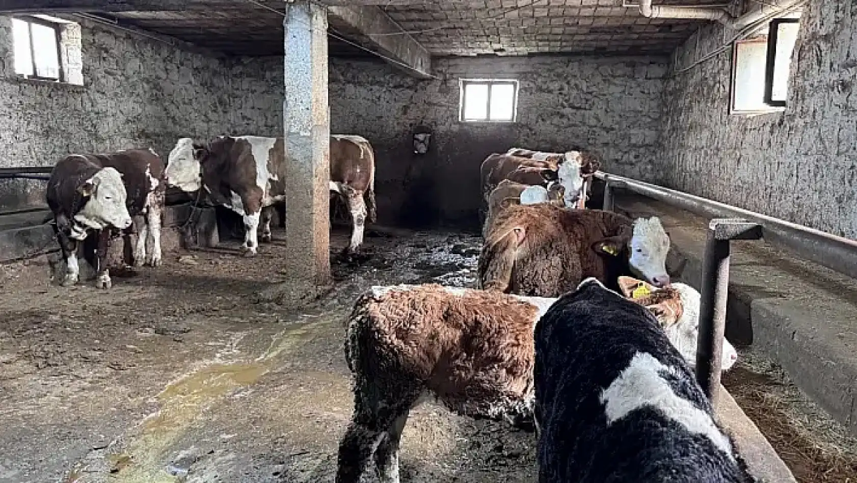 Kayseri'den Kısa Kısa: Bugün neler yaşandı? (13 Mayıs 2026)