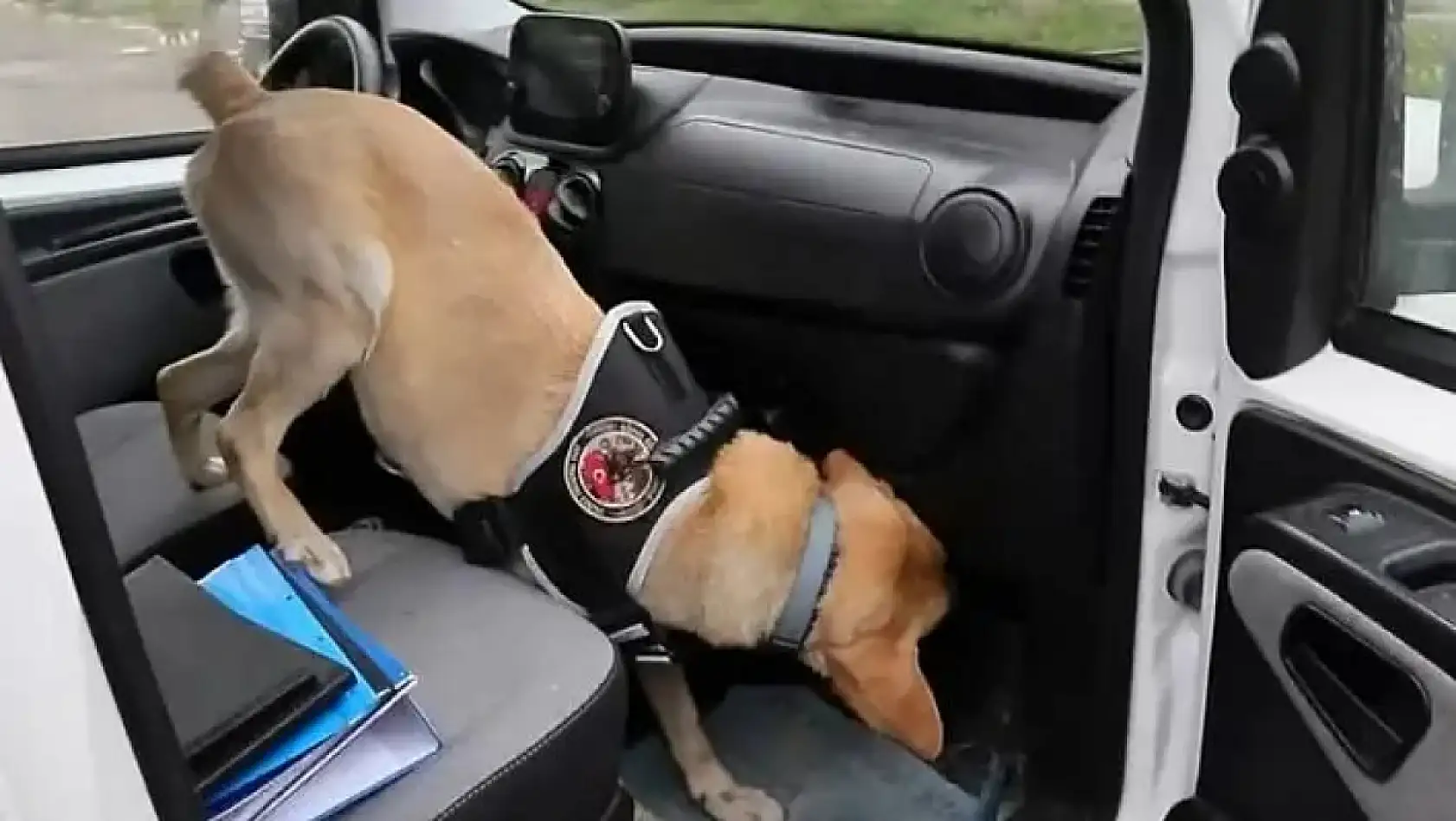 Kayseri'den kısa kısa (11 Nisan) - Uyuşturucu, Afiş krizi, başıboş köpekler, Zam, Kayserispor...