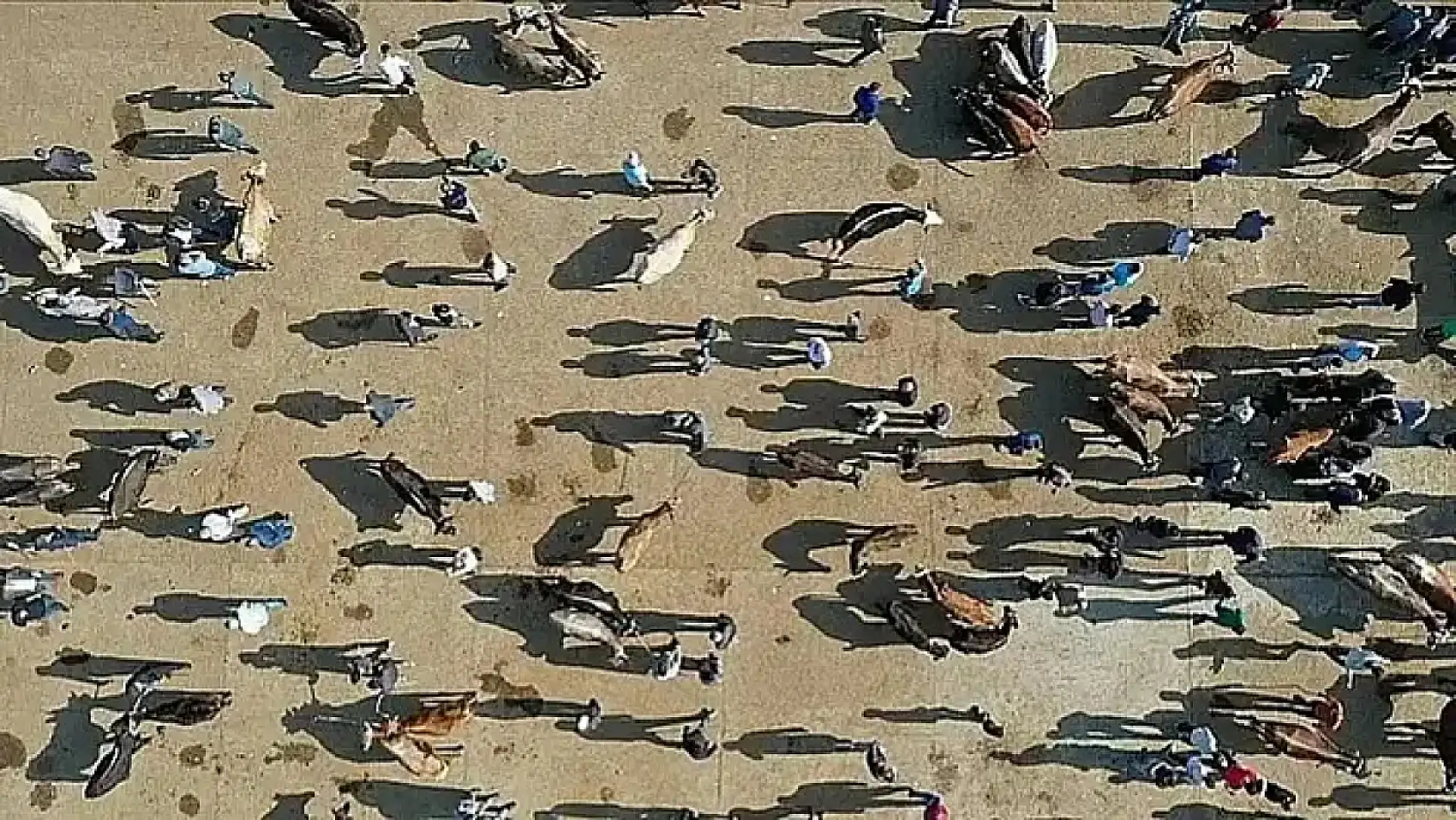 Kayseri kısa kısa: Hukuk zirvesi, YKS, Mustafa Elitaş, Şap alarmı, Kayserispor...