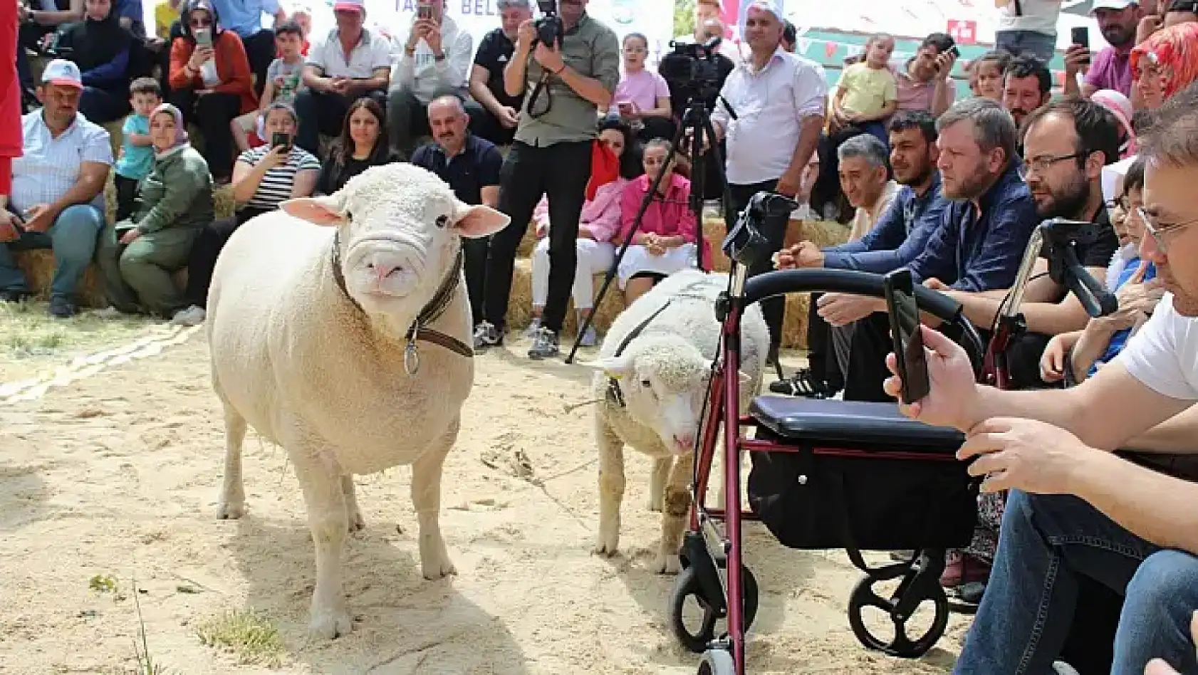 Yüksek kattan düşme, Koyun yarışması, Erciyes... - İşte 18 Mayıs Pazar günü Kayseri'den kısa kısa haberler...