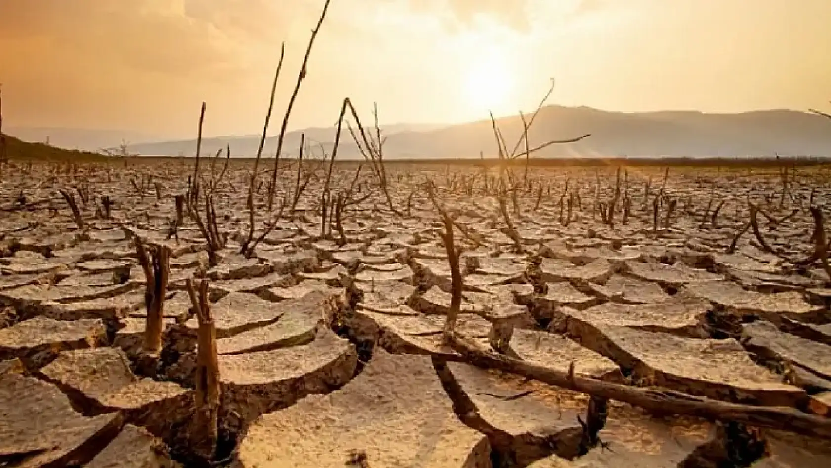 Kayseri kısa kısa: Tutuklama, Şirket, Yatırım, Millet Bahçesi, Tepki, Kayserispor...