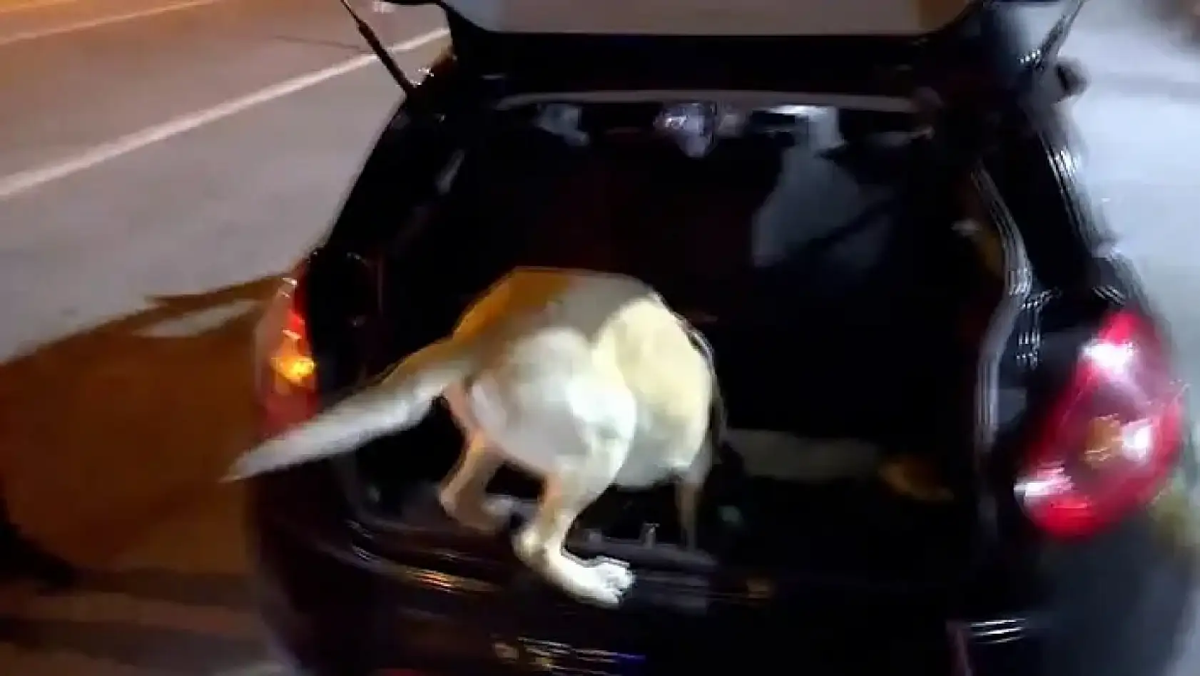 Kayseri'de bugün neler oldu? Narkotik, tüfekle yaralama Baki Ersoy, Cumhuriyet Meydanı, Kayserispor....