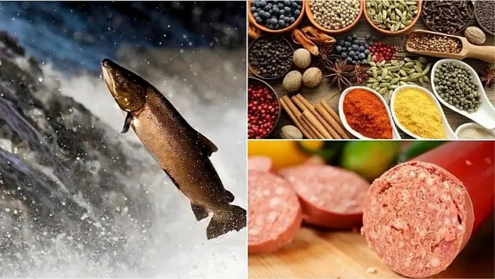 Kayseri'den kısa kısa: Yüksekten düşme, Konut, Şikayet, Otobüs durakları, Kayserispor...