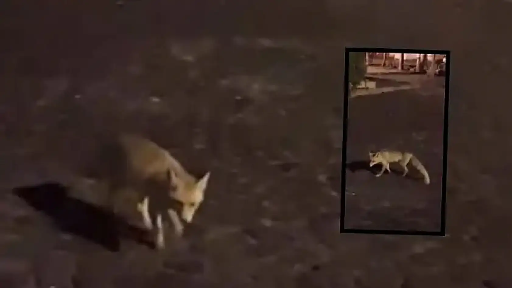 Kayseri'den kısa kısa: Trafik kazasında 22 yaralı, Tansu Çiller, Kira Getirisi, Erciyes, Kayserispor…