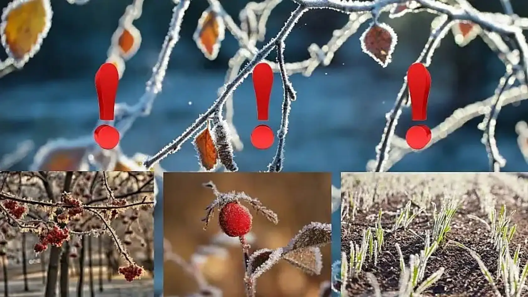 Kayseri kısa kısa - Asayiş raporu, pankart, okey salonu, viral video, Kayserispor...