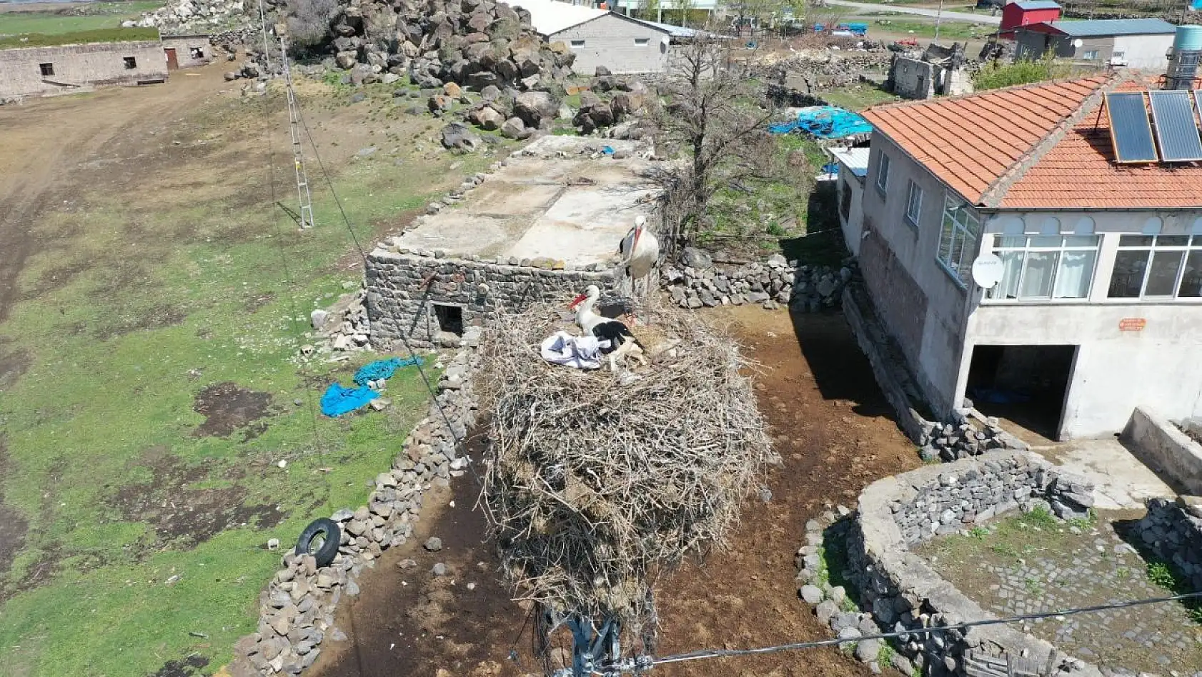 Göçmen Leylekler Hürmetçi Sazlığı'nda mola verdi