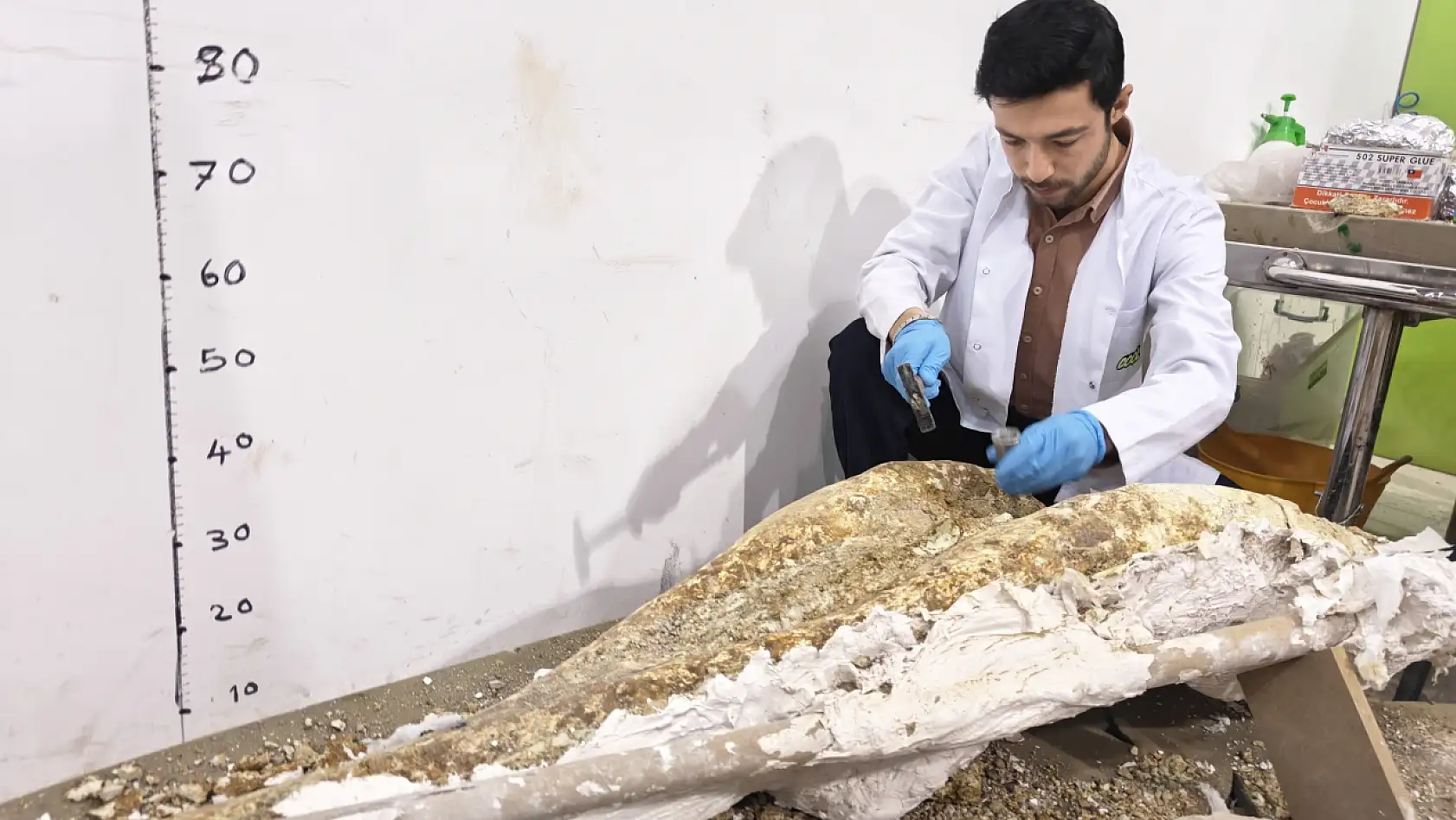 Kayseri'de yeni fosil parçaları bulundu