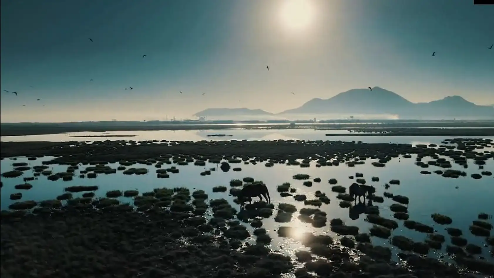 Kayseri'de gezilecek yerler... Bugün Hürmetçi Sazlığına misafir olalım... Hep birlikte gezelim...