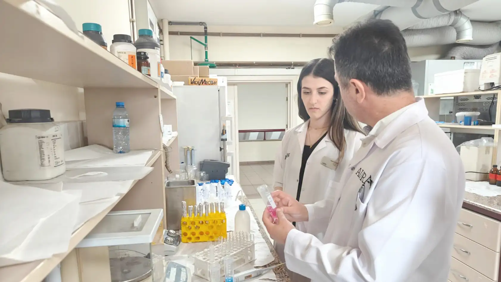 Kayseri'de geliştirildi, kene ve haşerelere bitkisel kalkan