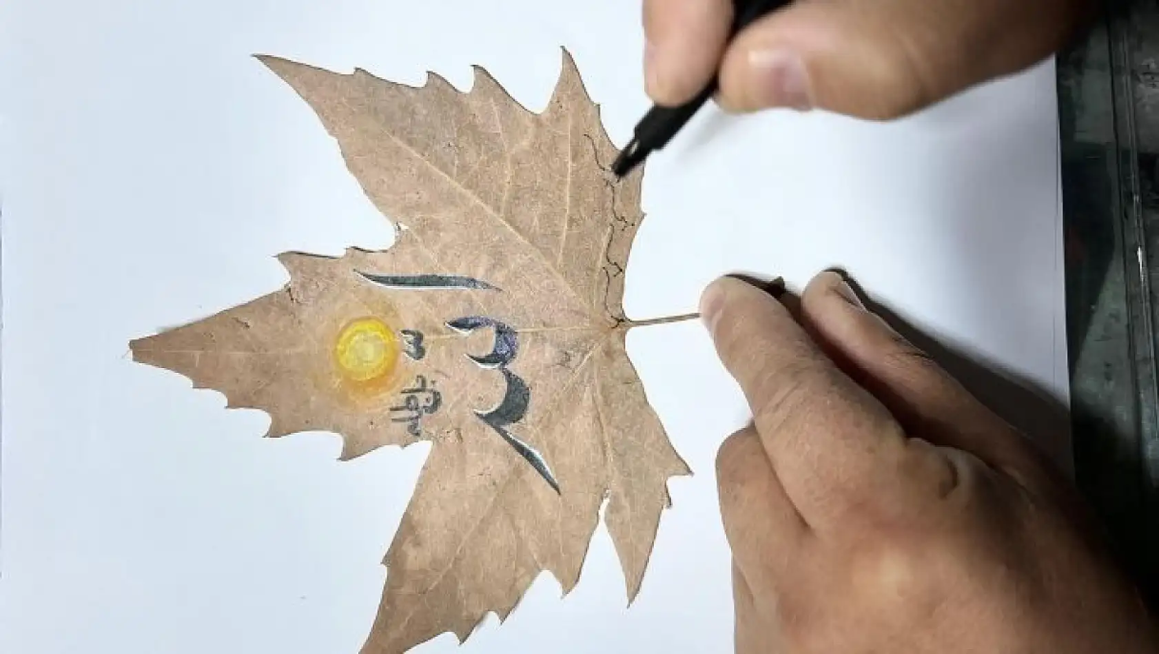 Kayseri'de yapraklara yazılan sanat