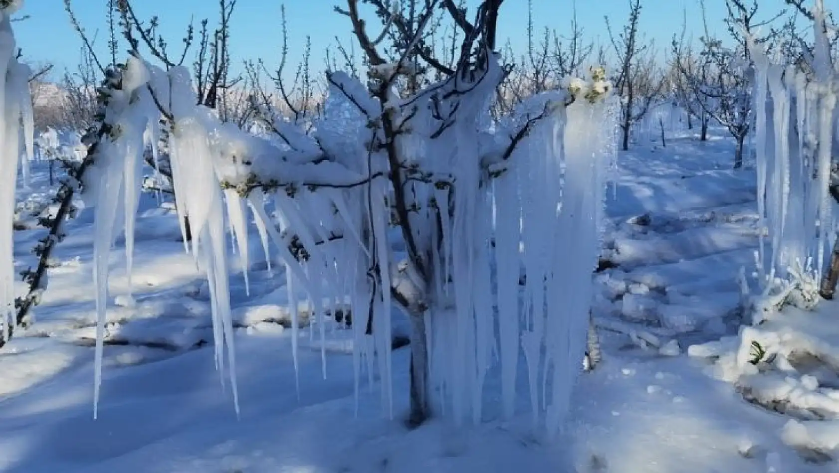 Soğuk bahar gecesi Kayseri'yi vurdu: Üreticiler endişeli!