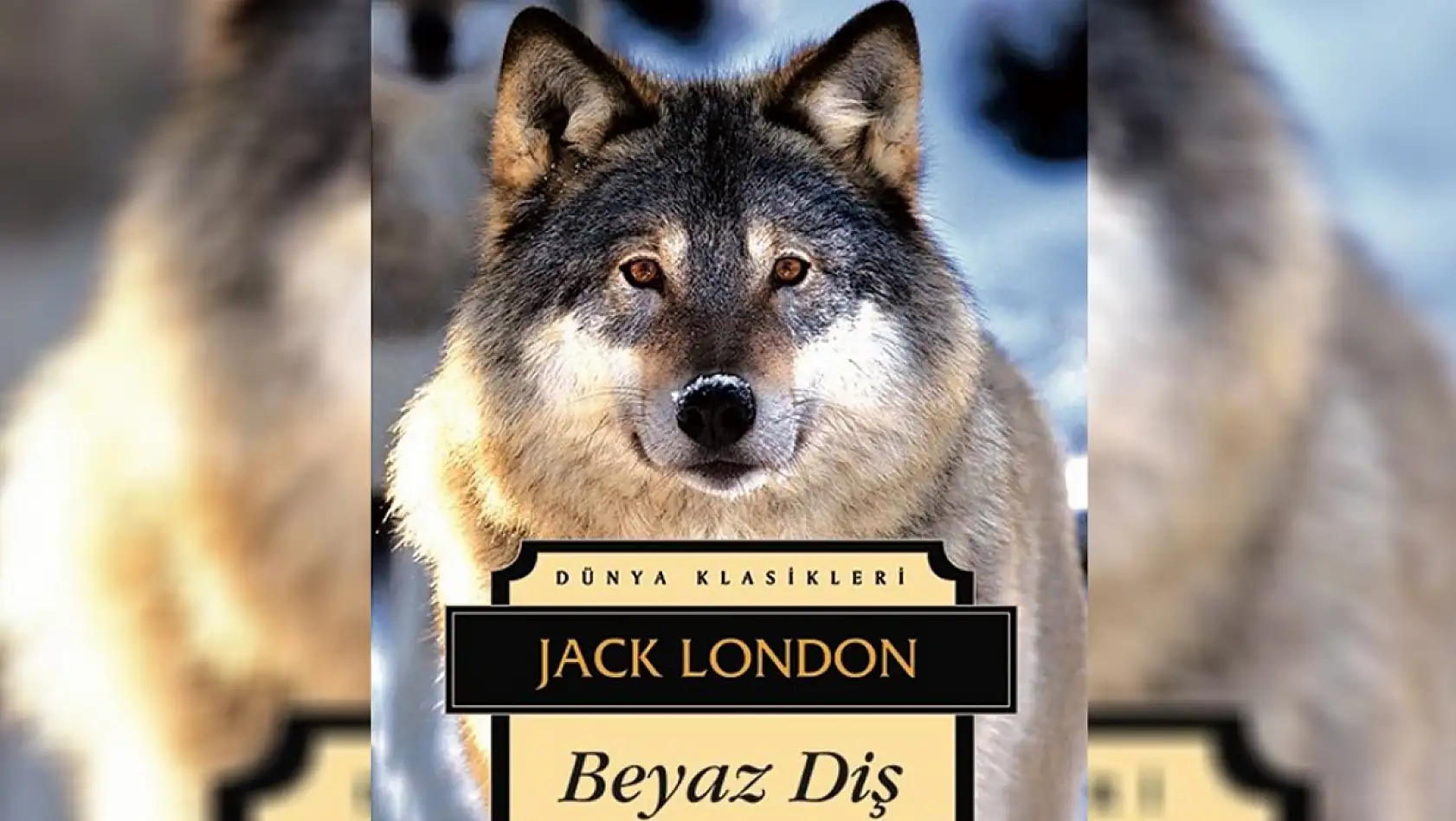 Ara tatilde çocukların okuyabileceği 20 kitap!