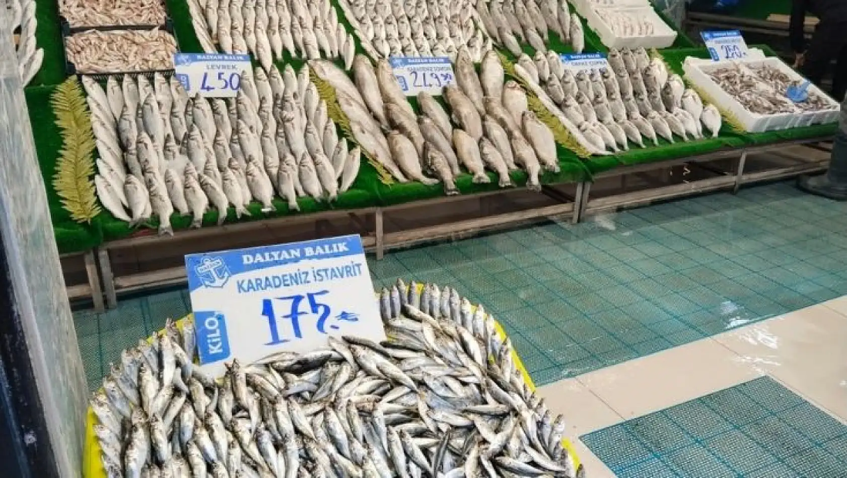 Kayseri'de balıkçılar umutlu: Sofralar bu yıl hangi balıkla dolacak?