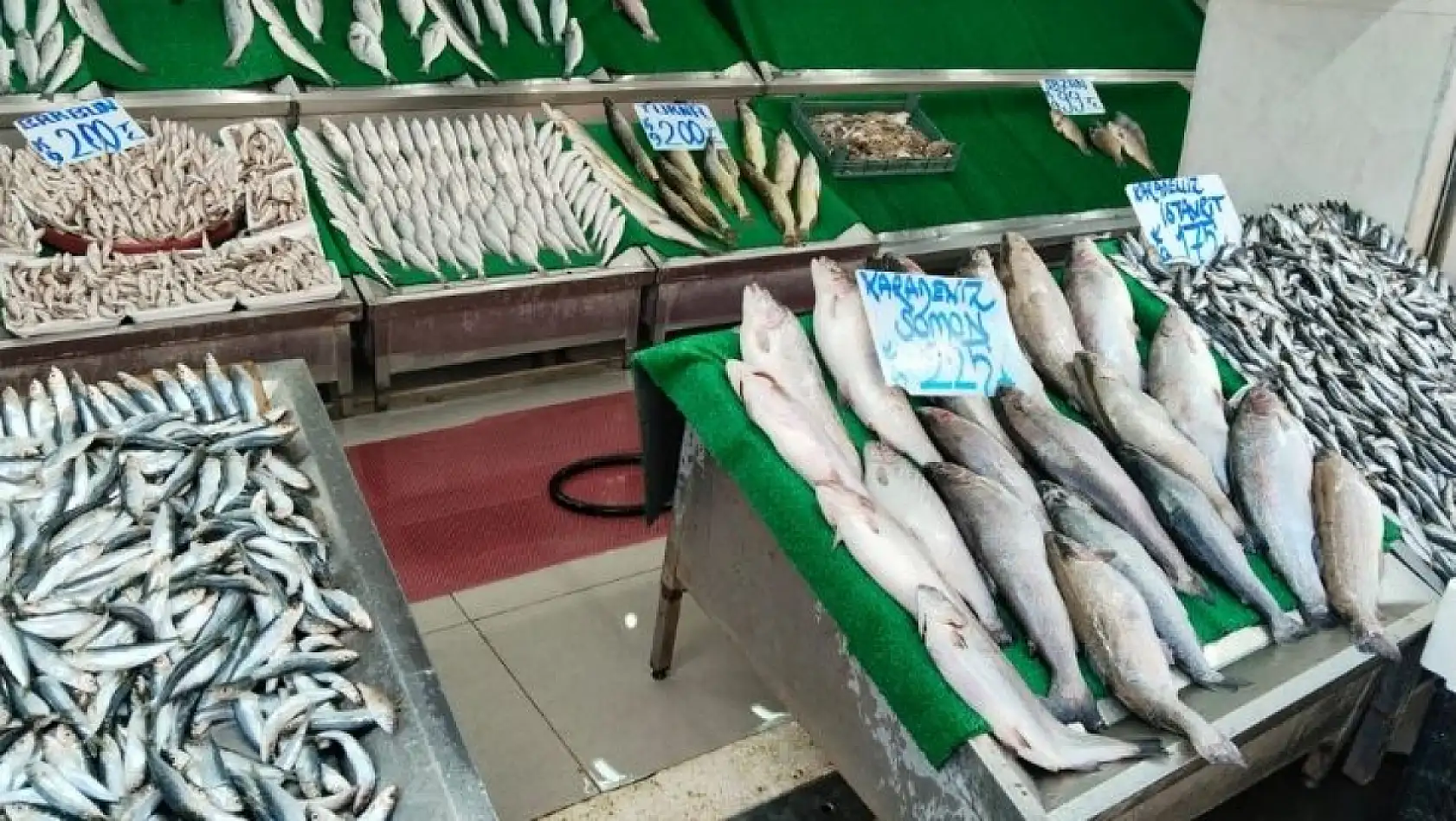 Kayseri'de balıkçılar umutlu: Sofralar bu yıl hangi balıkla dolacak?