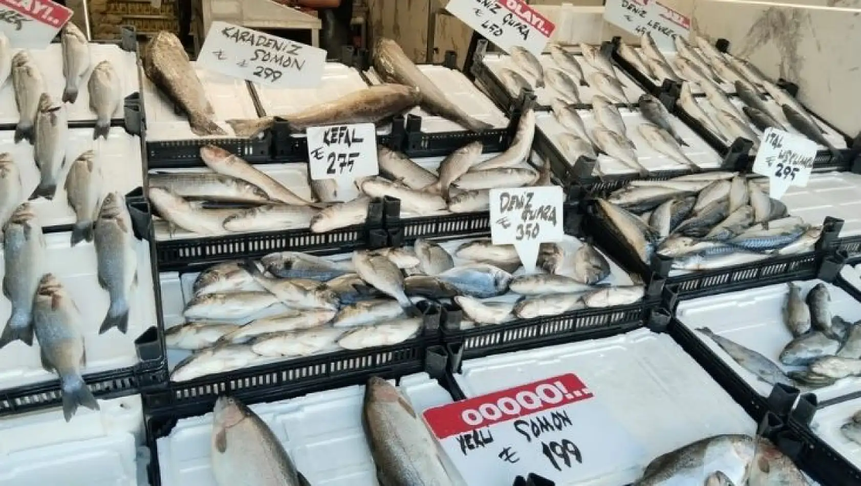 Kayseri'de balıkçılar umutlu: Sofralar bu yıl hangi balıkla dolacak?