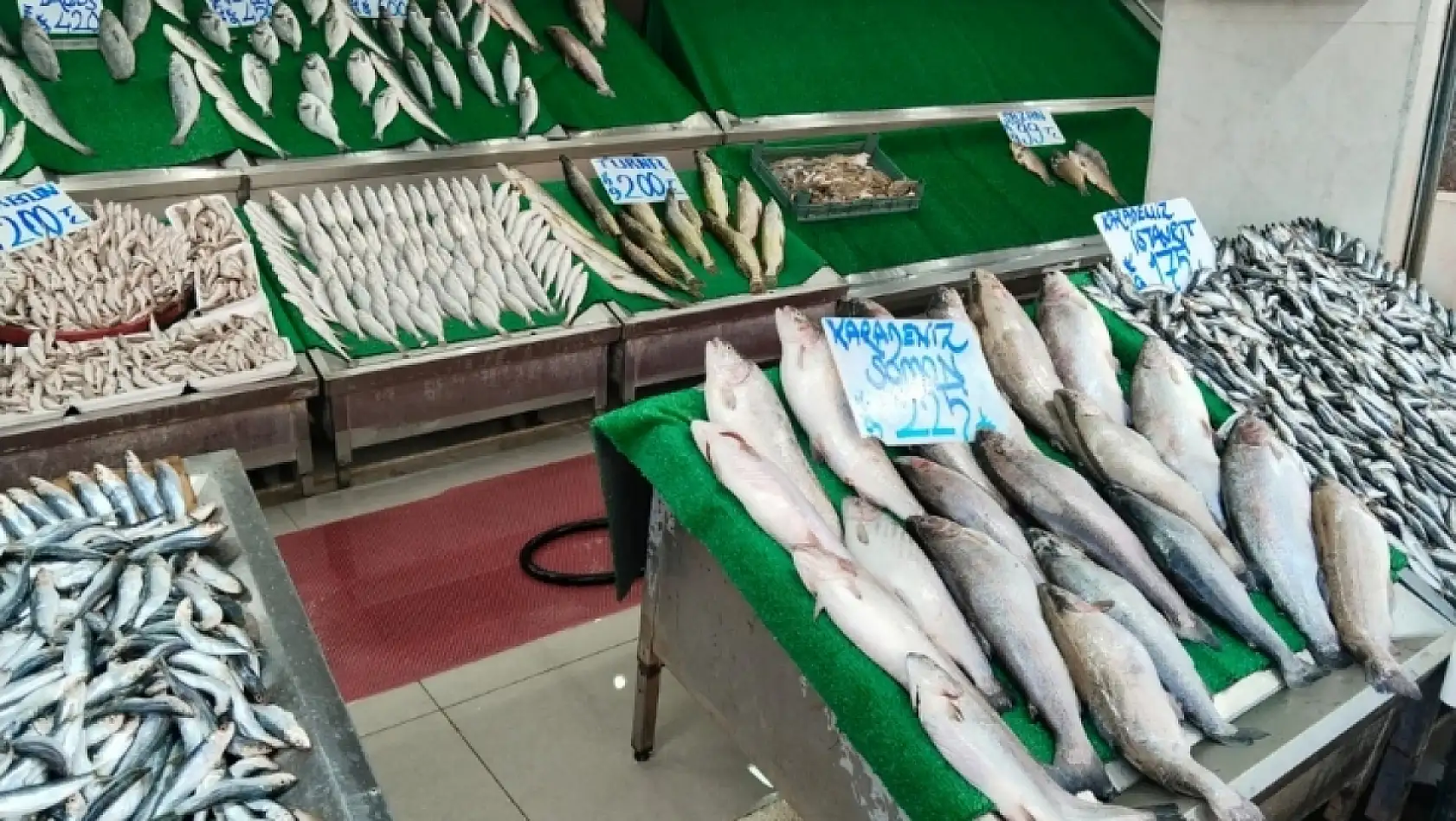 Kayseri'de balıkçılar umutlu: Sofralar bu yıl hangi balıkla dolacak?