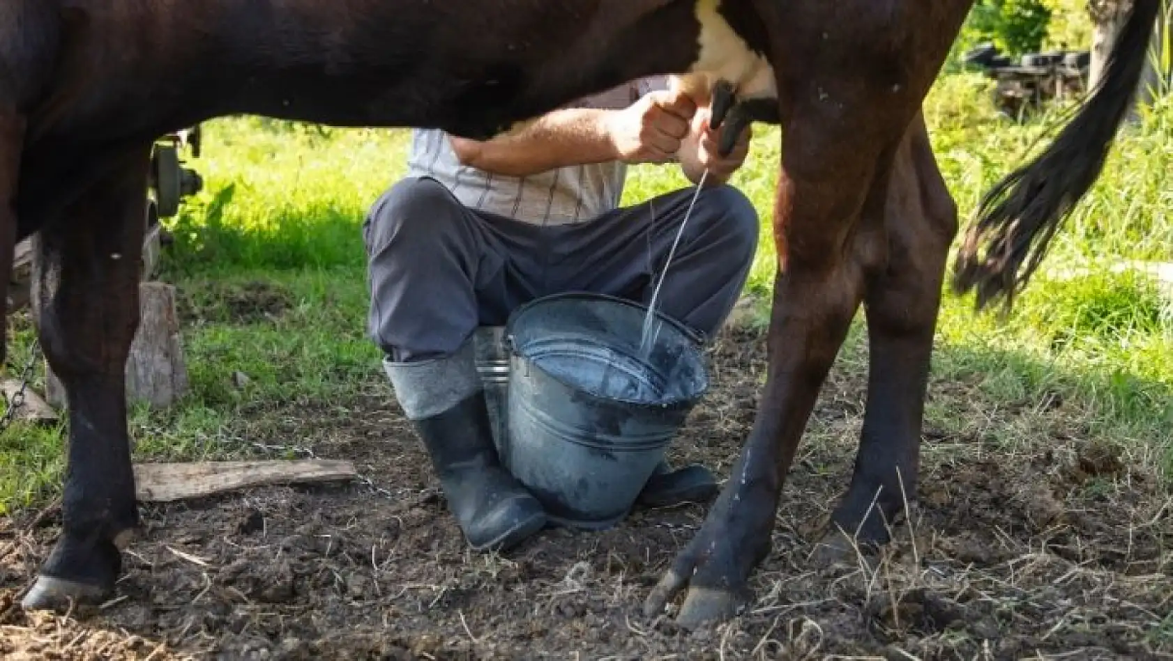 Kayserililer müjde! 74 milyon 737 bin TL destek ödemesi hesaplarda