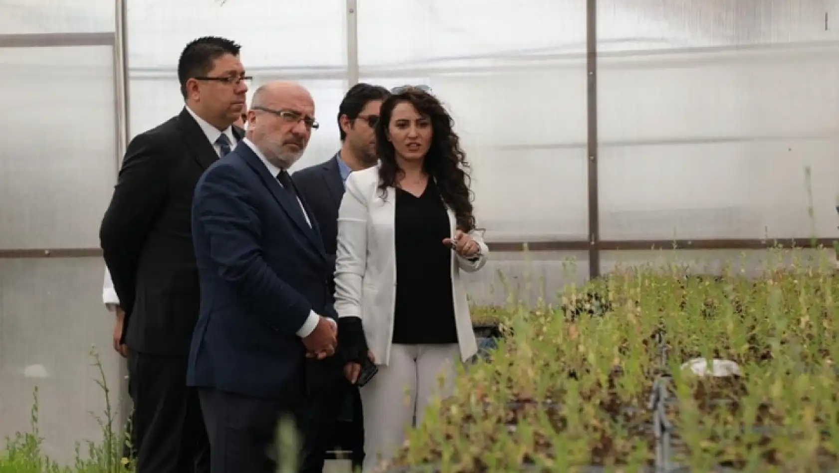 Kayseri ata tohumuyla köklerine dönüyor!