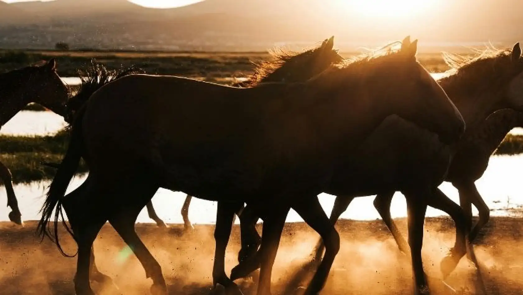 Gören hayran kalıyor! Kayseri'de fotoğraf tutkunlarının vazgeçilmez adresleri