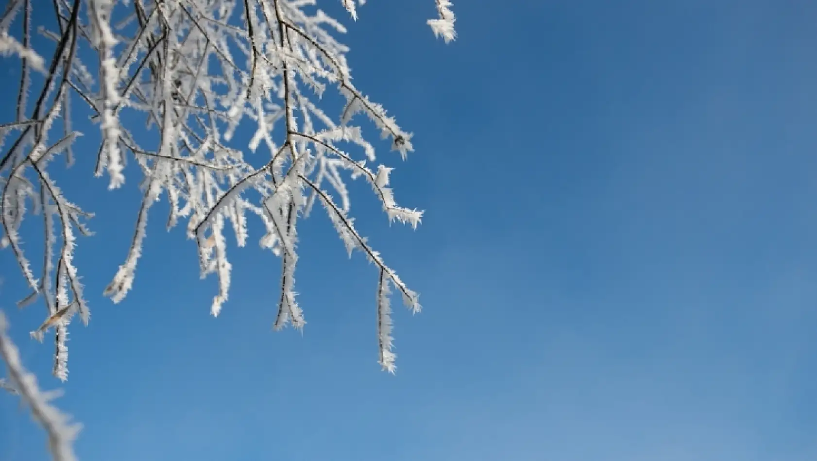 Kayseri'de fiyatlar tavan yaptı! O meyveleri bulmak neredeyse imkansız!