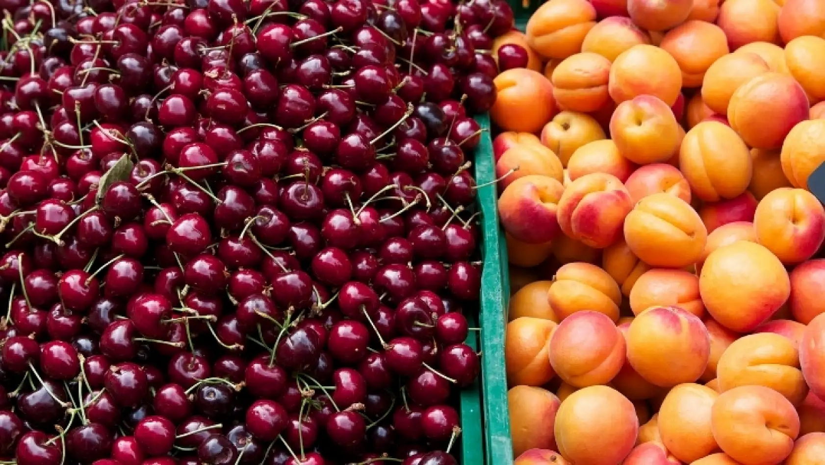 Kayseri'de fiyatlar tavan yaptı! O meyveleri bulmak neredeyse imkansız!