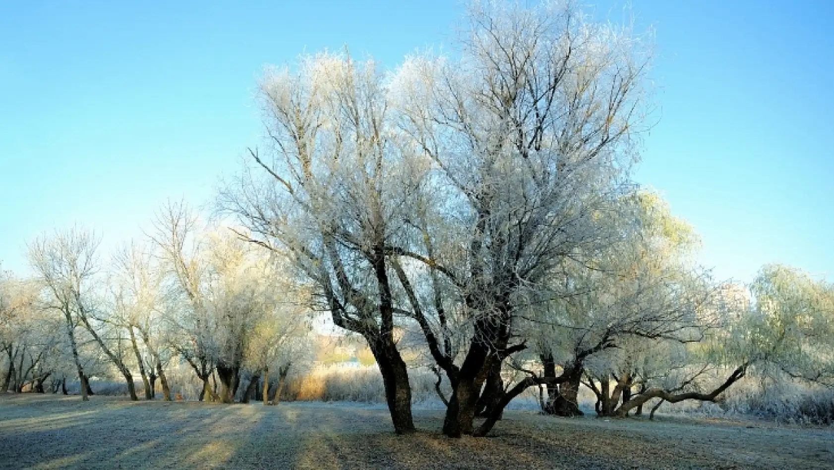 Kayseri'de fiyatlar tavan yaptı! O meyveleri bulmak neredeyse imkansız!