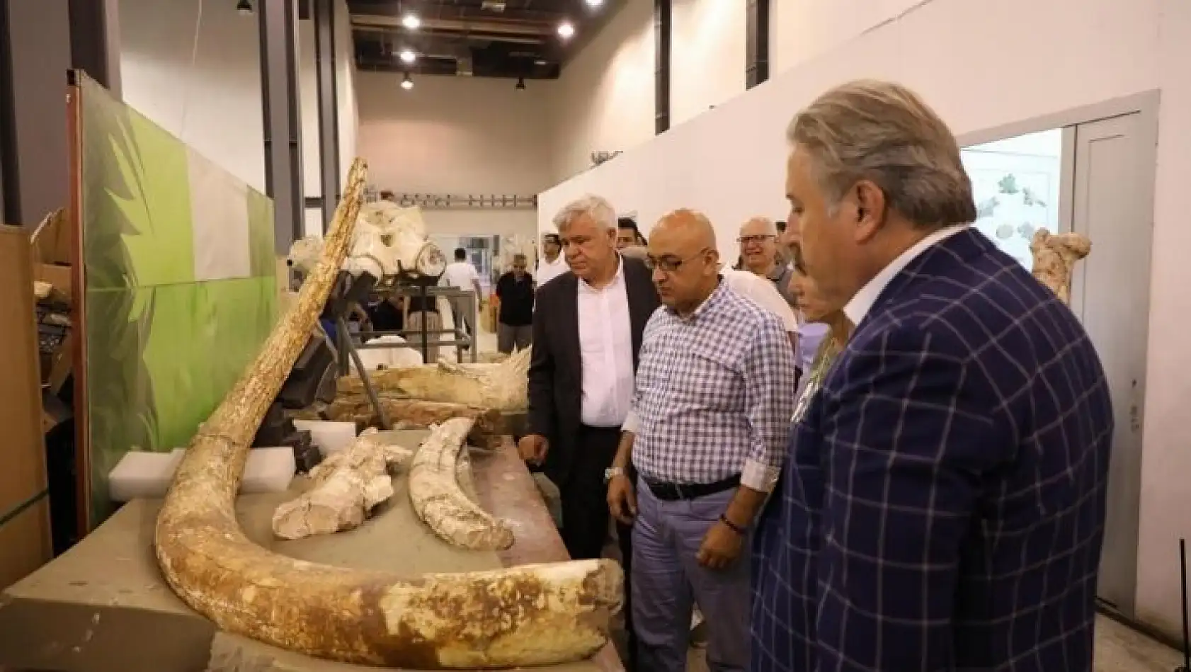 Kayseri, 7,5 milyon yıllık fosillerle dünya sahnesine çıkıyor!