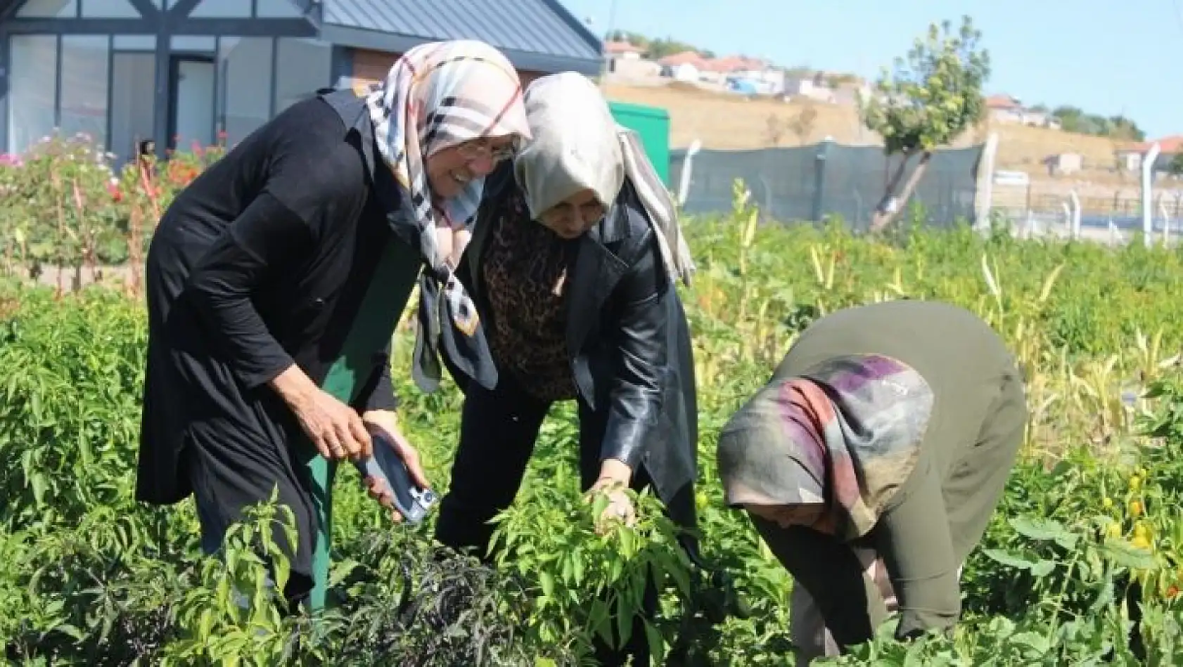 Kayseri'de kadın eliyle tarımda devrim! 77 çeşit ürün tek bahçede yetişti