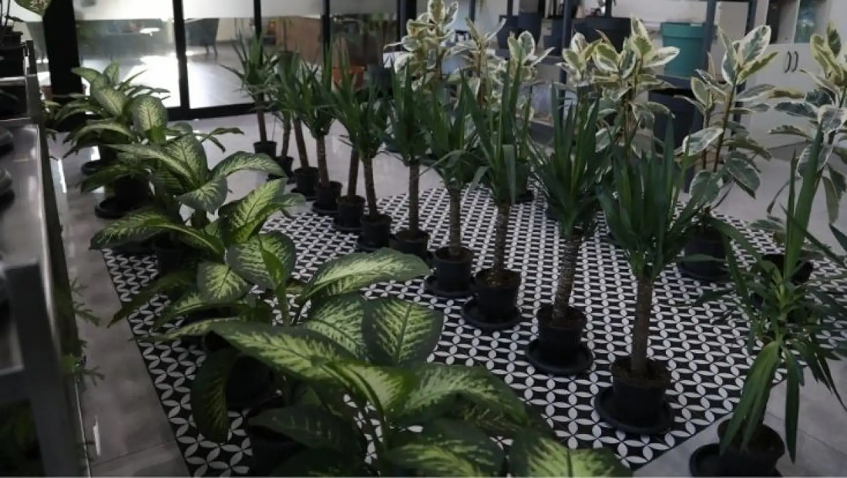 Ankara'da açılan yeni merkez herkesi şaşırttı… Kayseri'ye de kurulur mu?