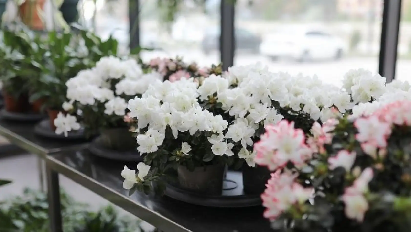 Ankara'da açılan yeni merkez herkesi şaşırttı… Kayseri'ye de kurulur mu?