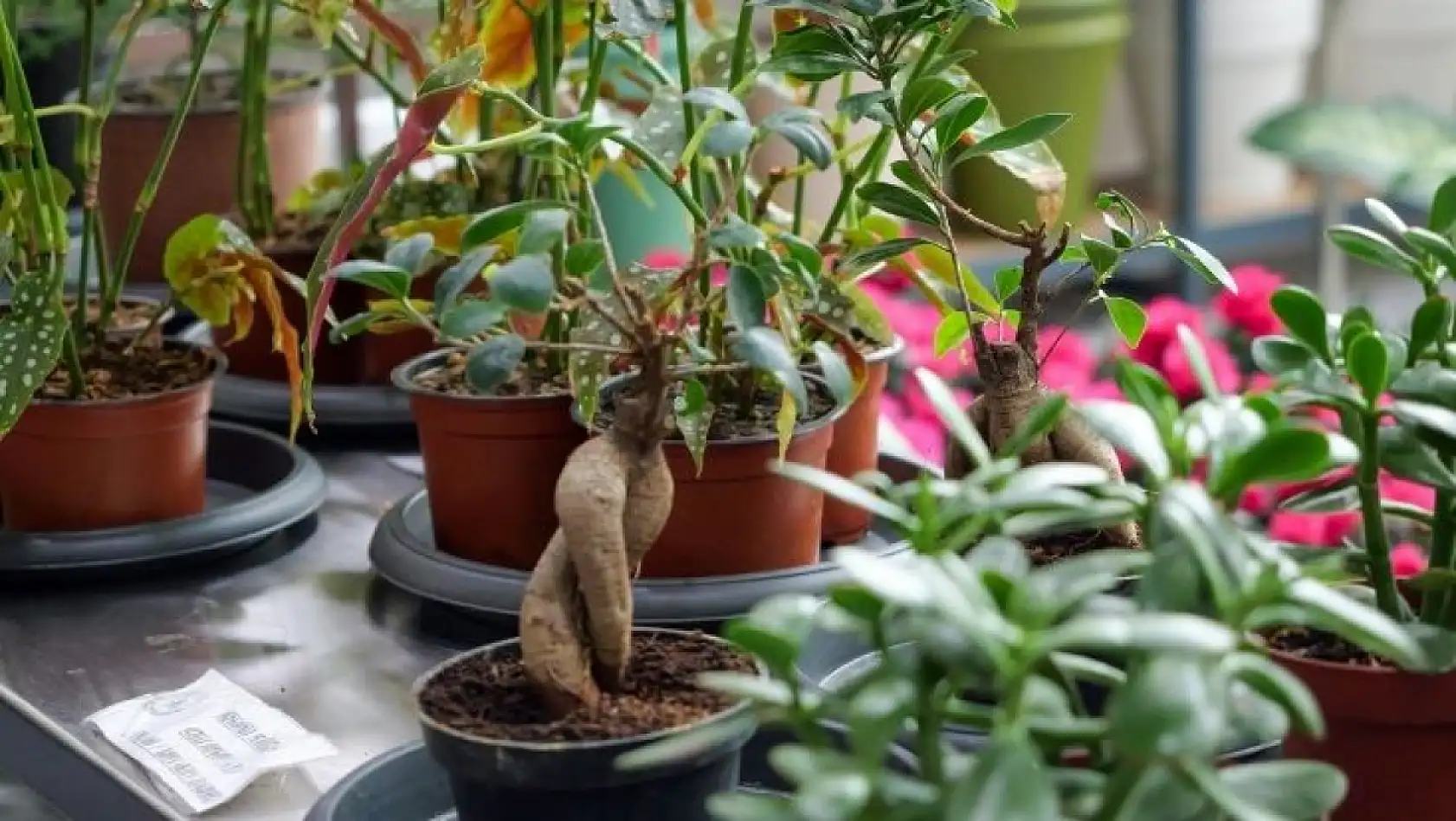 Ankara'da açılan yeni merkez herkesi şaşırttı… Kayseri'ye de kurulur mu?