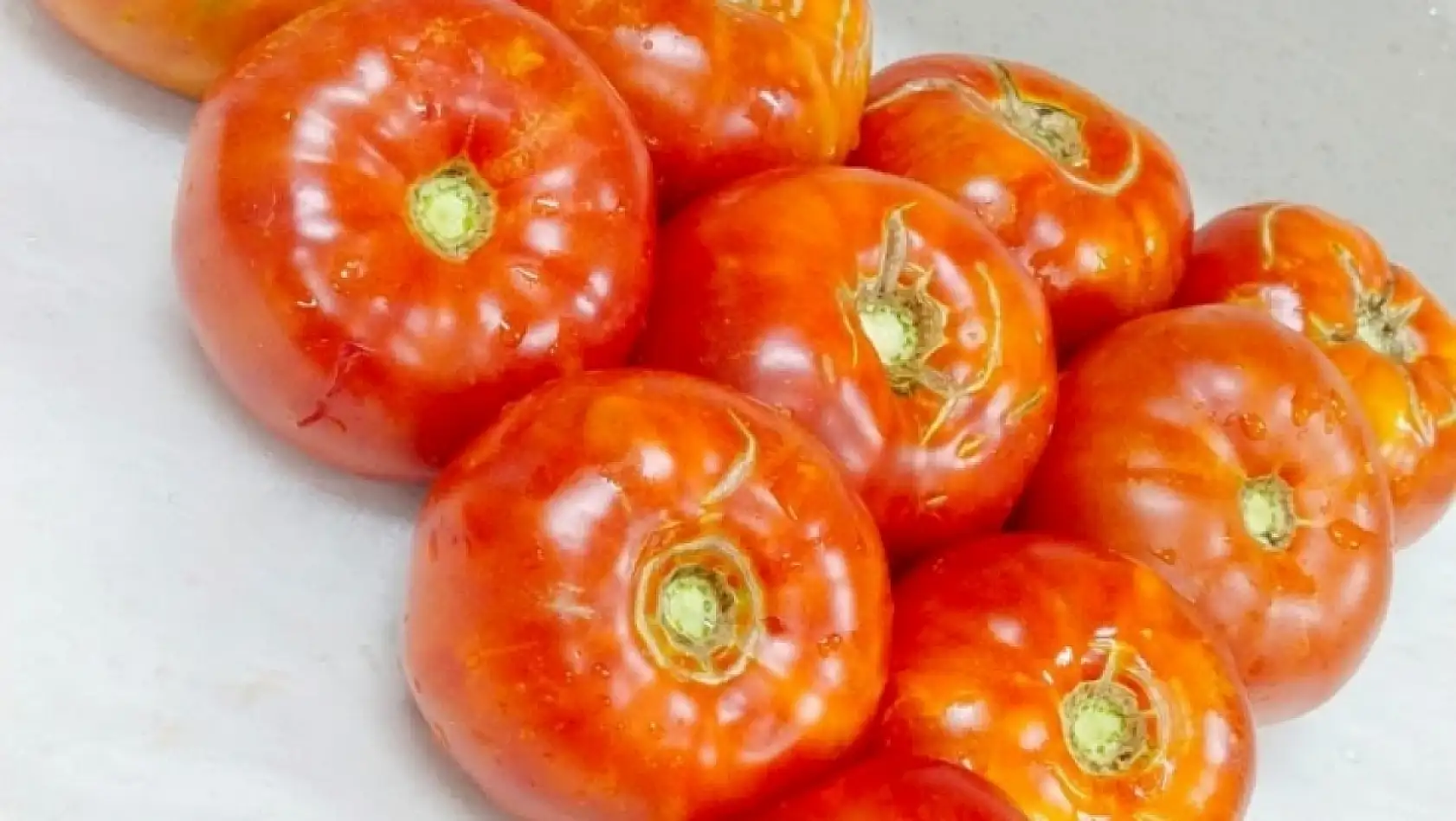 Kayseri ata tohumuyla köklerine dönüyor!