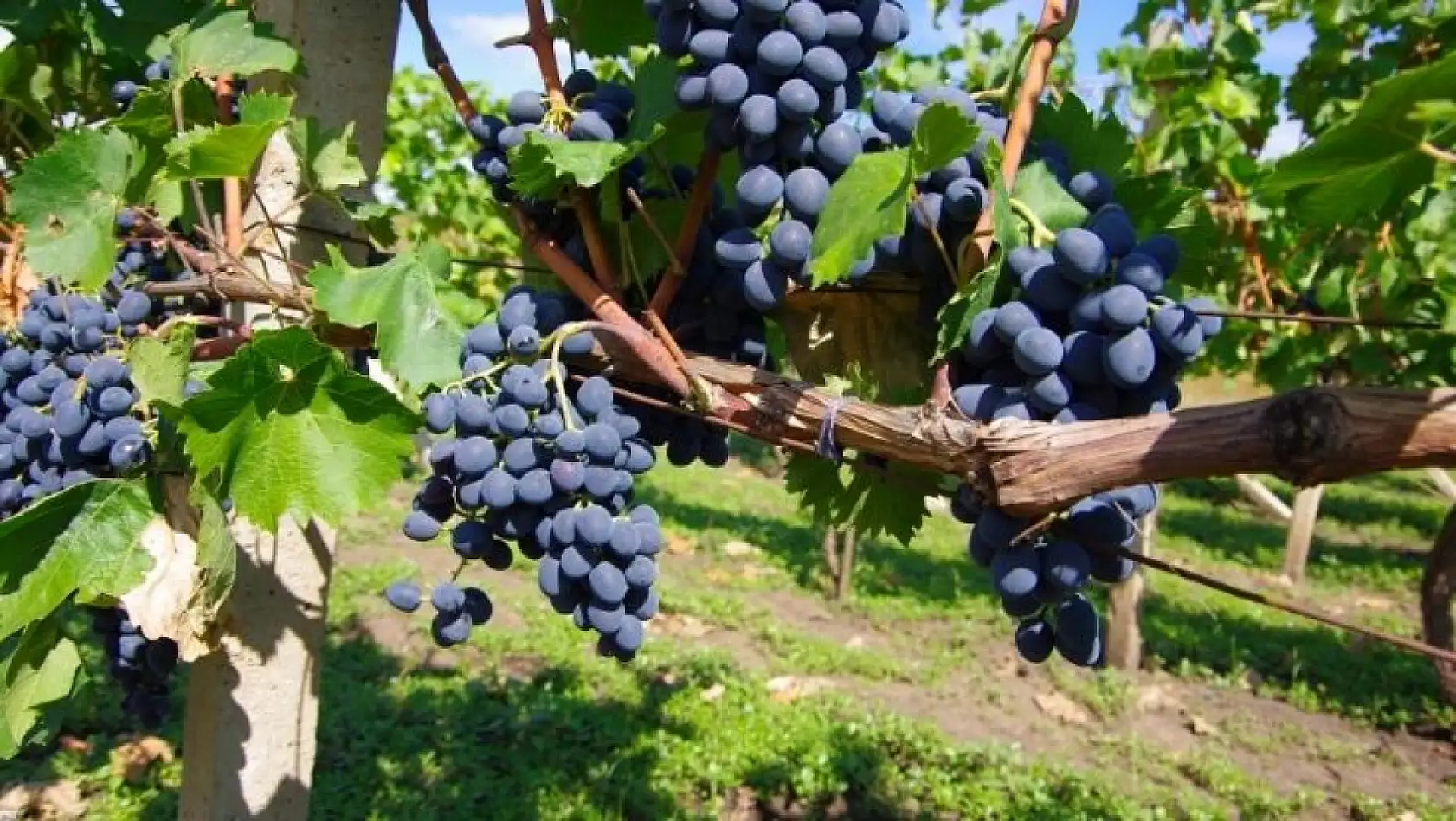 Kayseri'ye neden gelmelisiniz, neler yapmalısınız?
