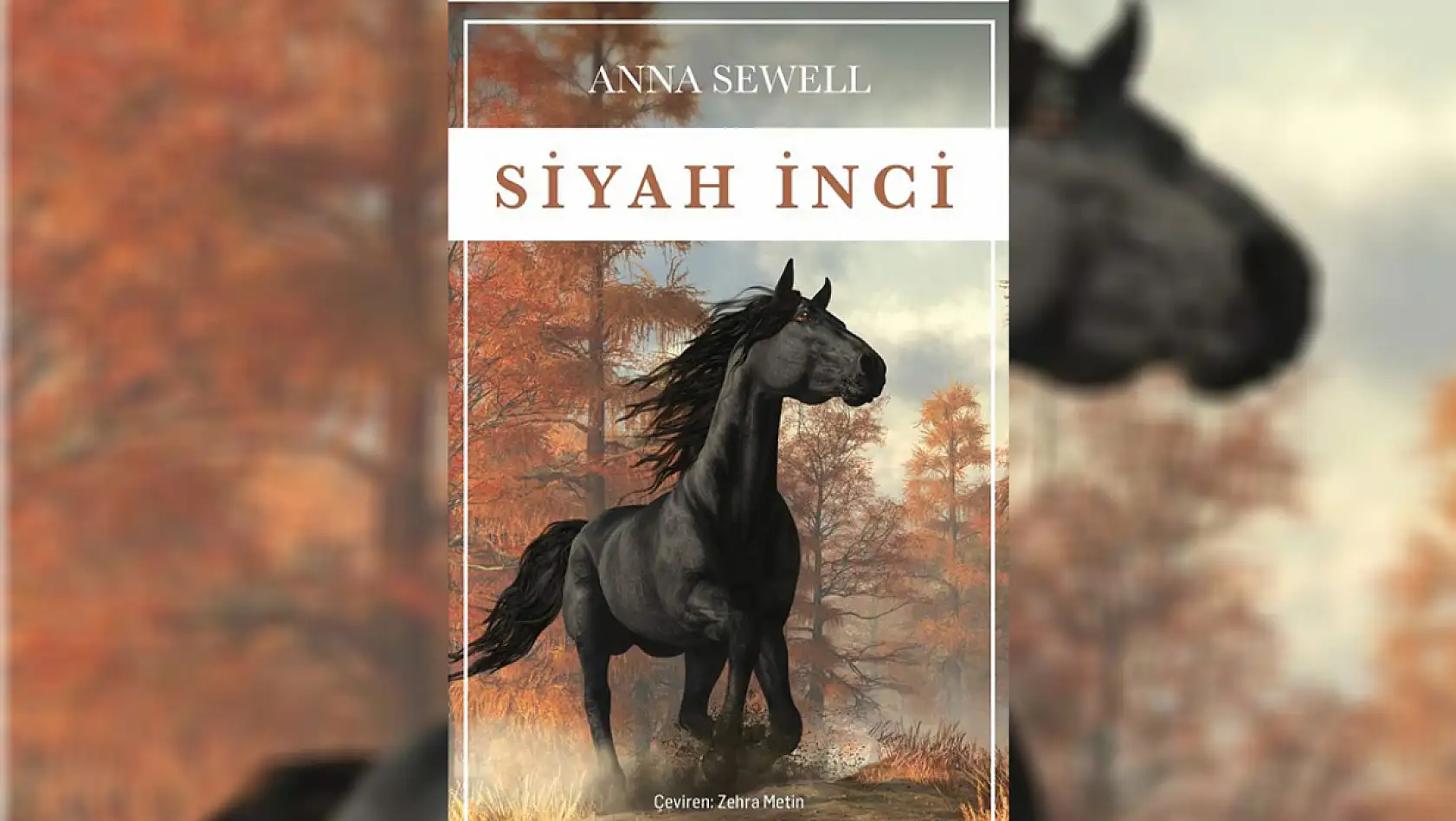 Ara tatilde çocukların okuyabileceği 20 kitap!