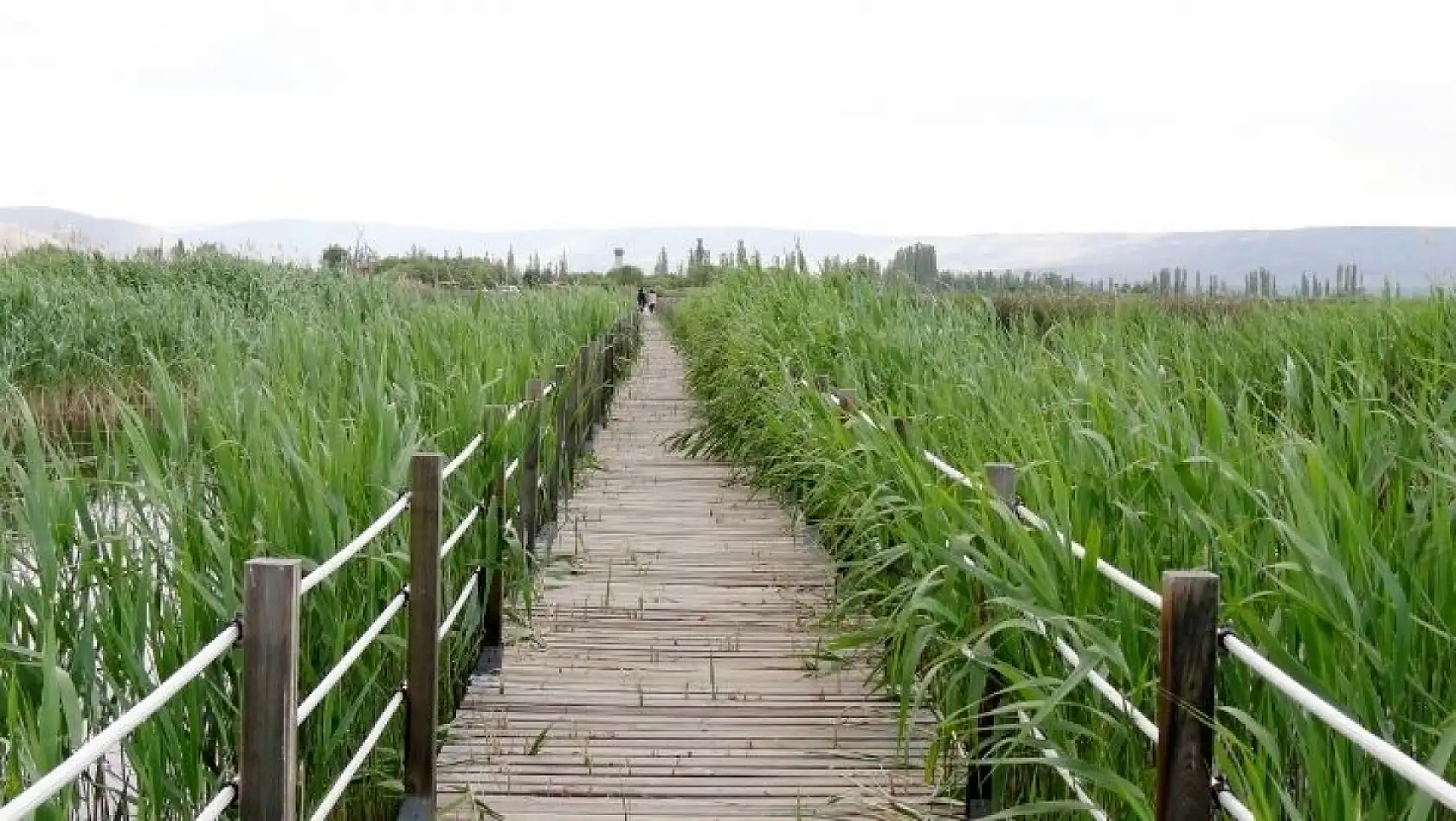 Gören hayran kalıyor! Kayseri'de fotoğraf tutkunlarının vazgeçilmez adresleri