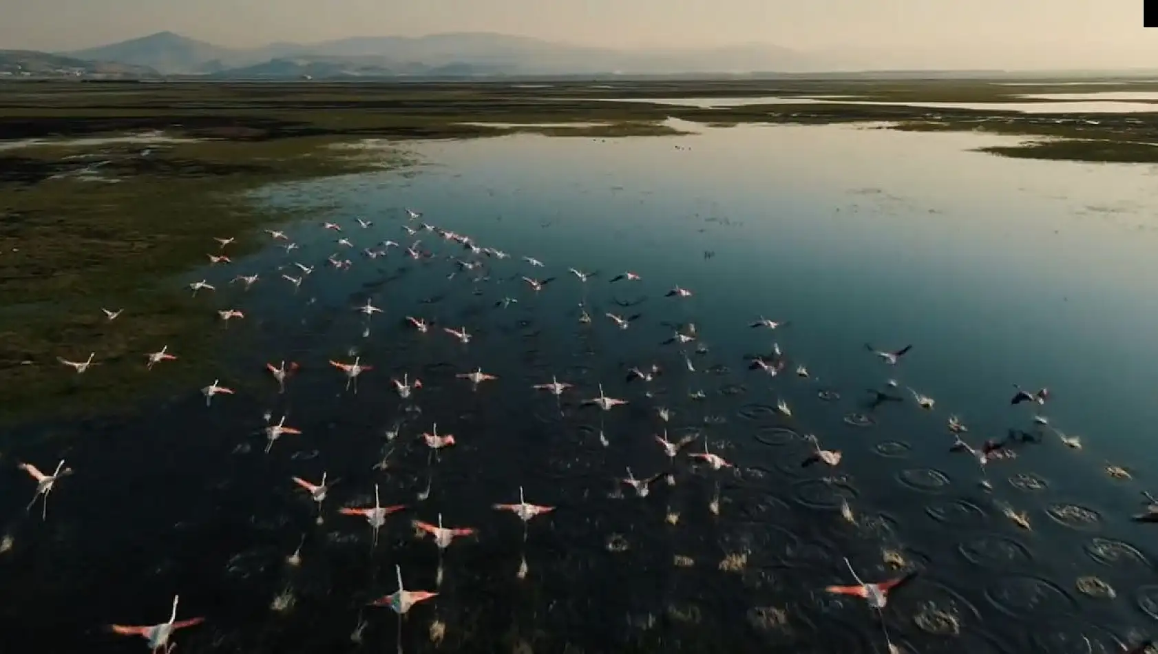 Kayseri'de gezilecek yerler... Bugün Hürmetçi Sazlığına misafir olalım... Hep birlikte gezelim...