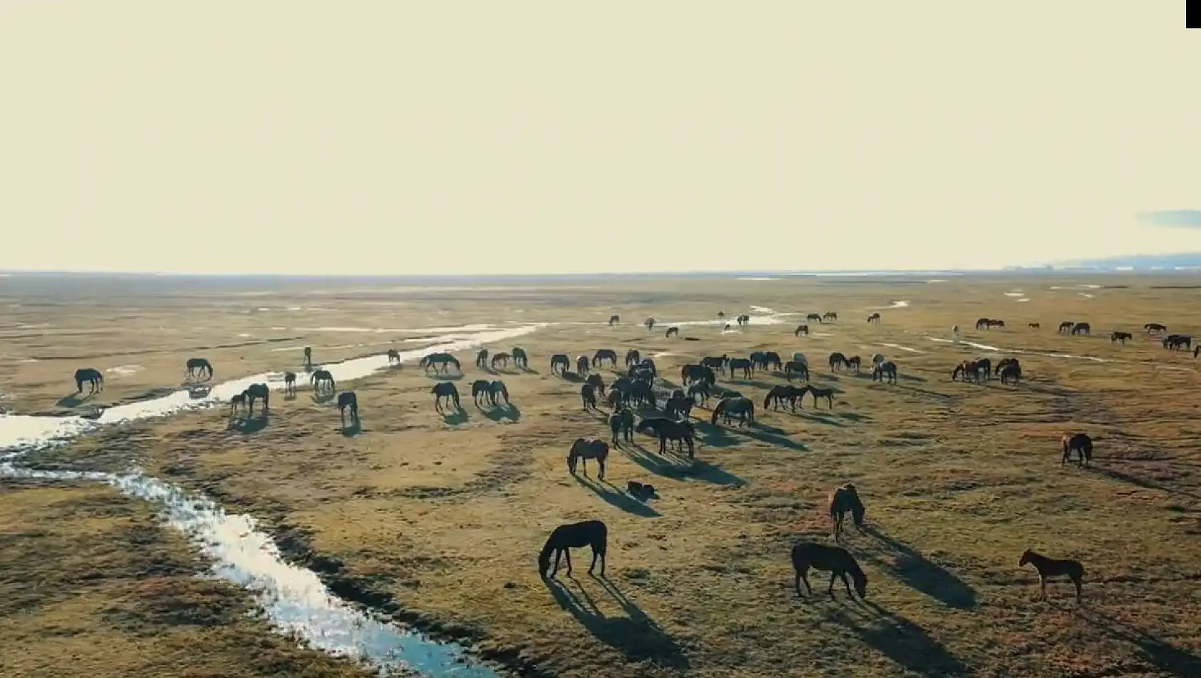 Kayseri'de gezilecek yerler... Bugün Hürmetçi Sazlığına misafir olalım... Hep birlikte gezelim...