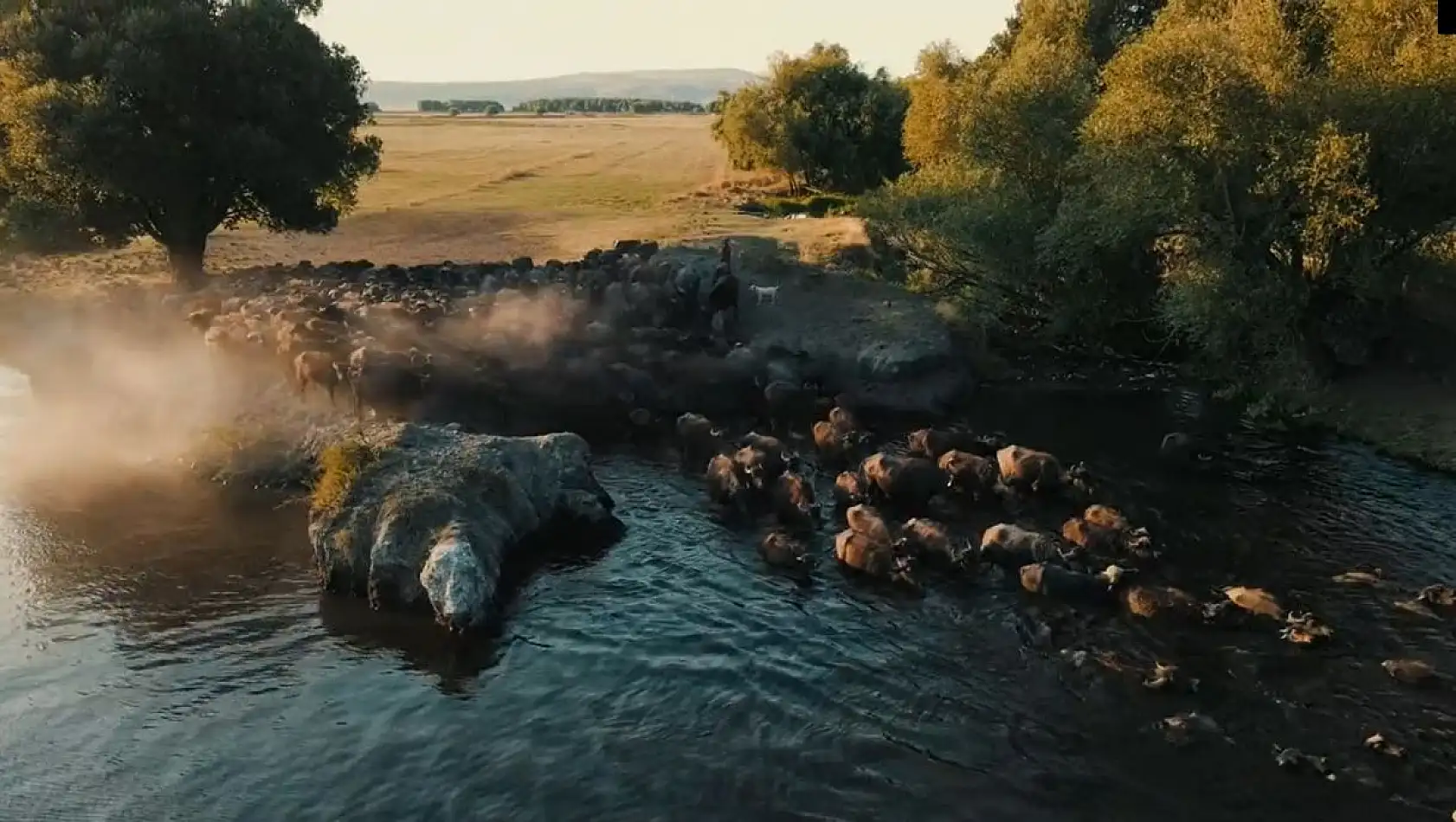 Kayseri'de gezilecek yerler... Bugün Hürmetçi Sazlığına misafir olalım... Hep birlikte gezelim...